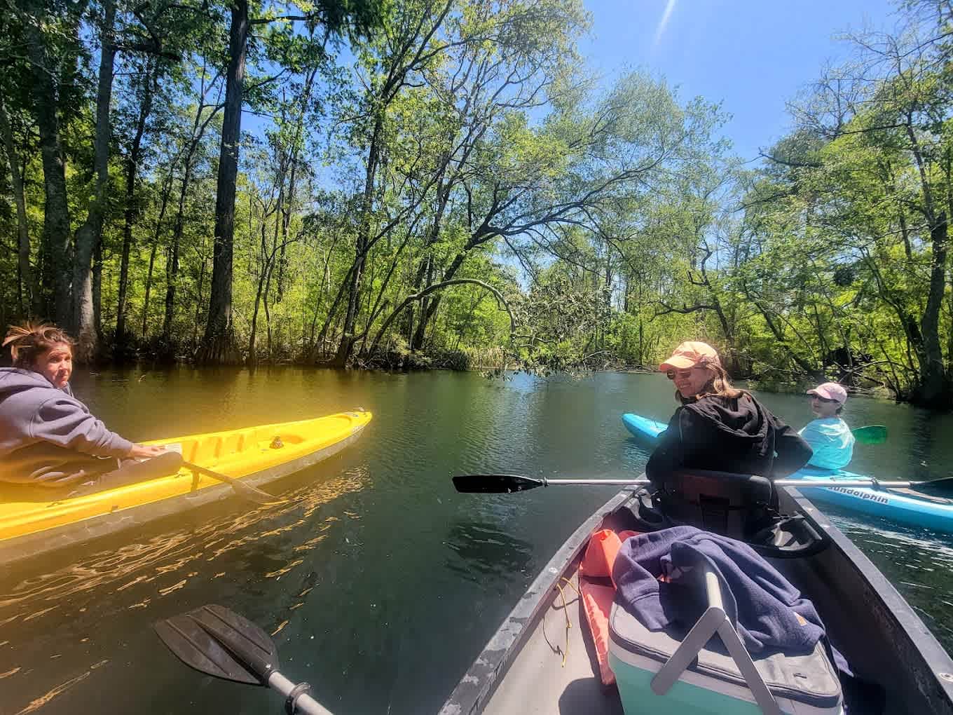 Lilypad Adventures