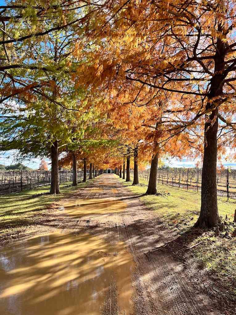 Oasis Lake Buchanan