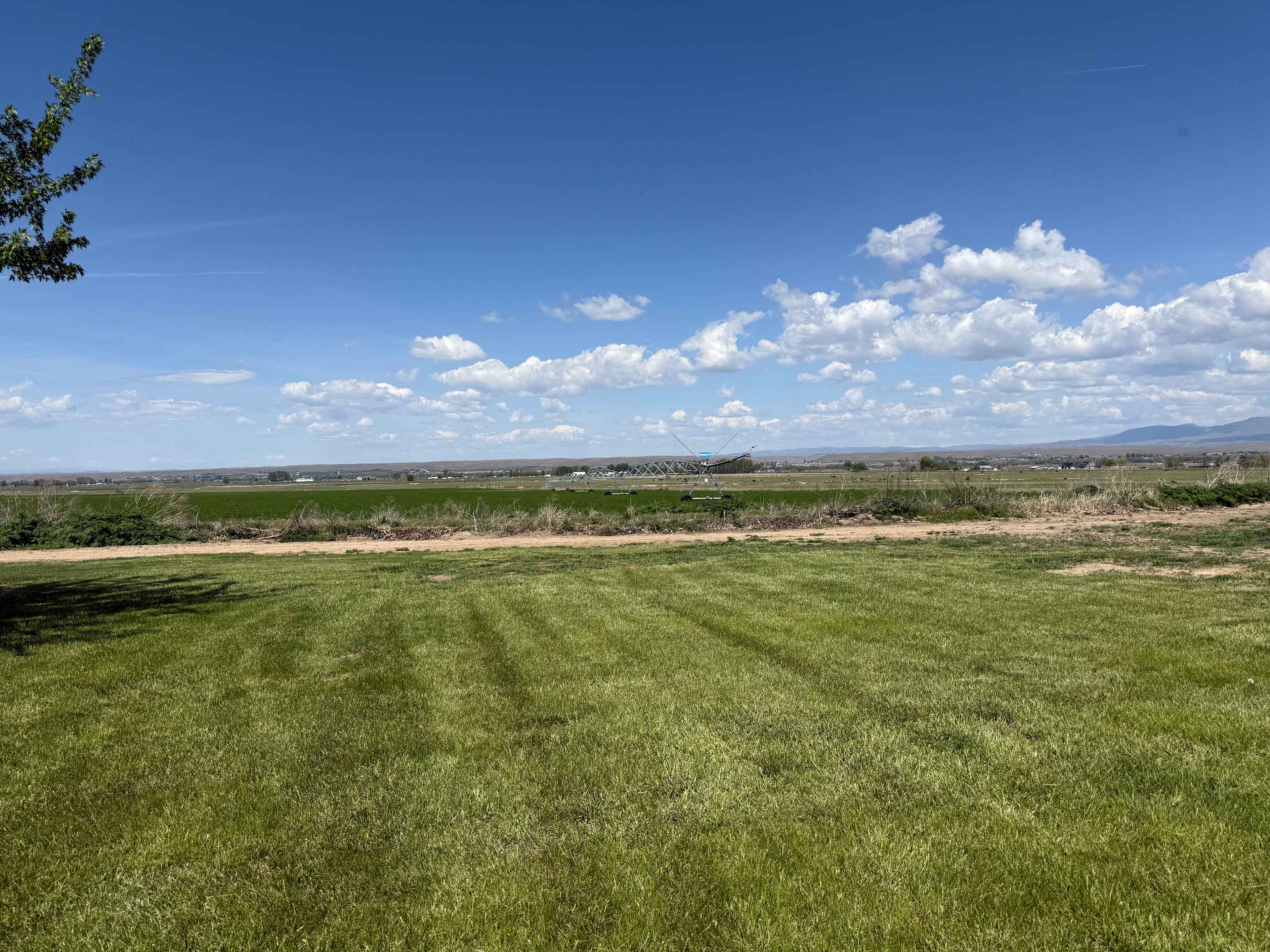 Mini Acres Farm