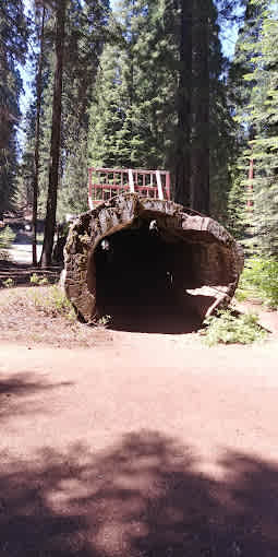 Balch Park Campground