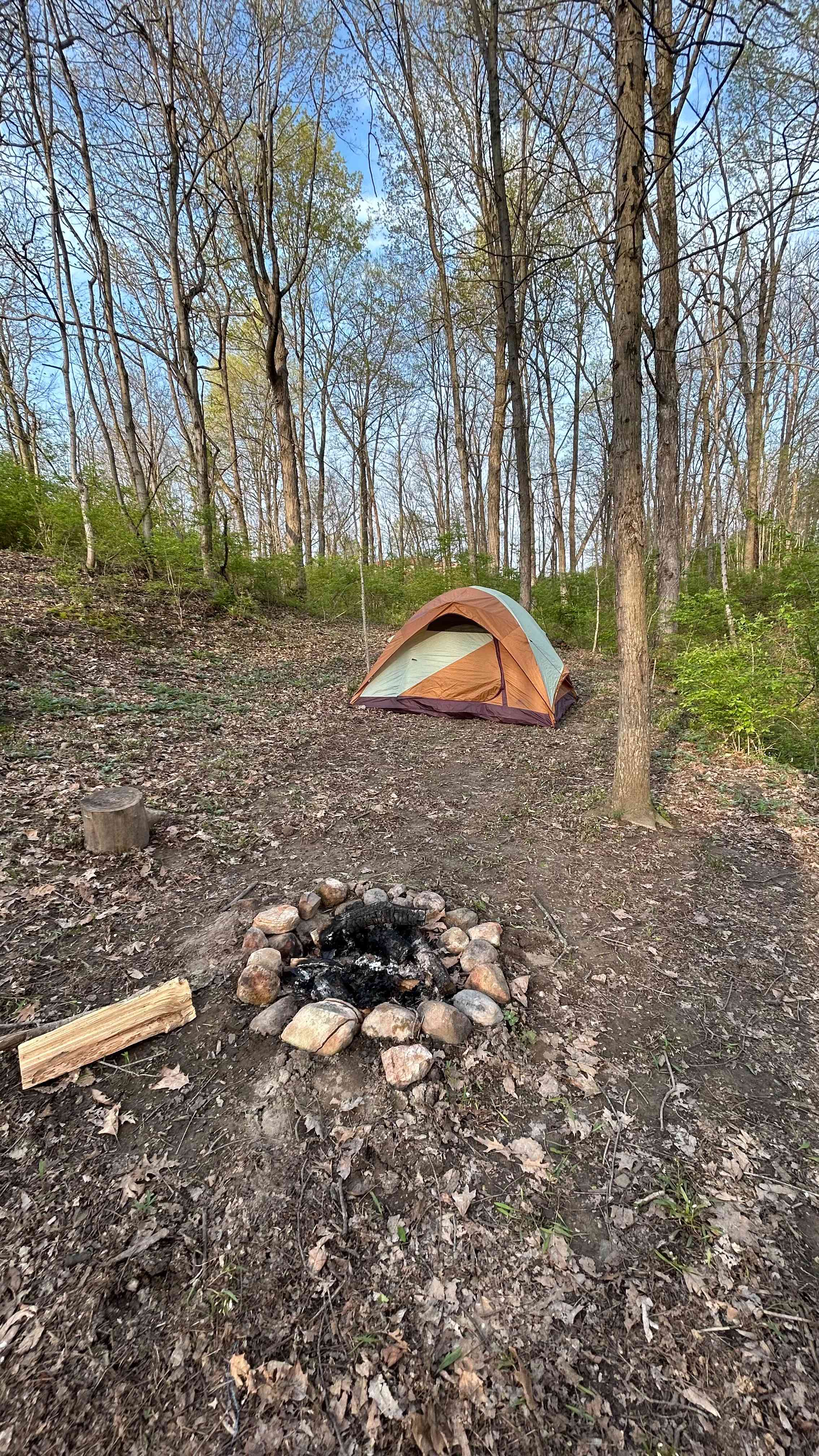 site 2 and the firepit 