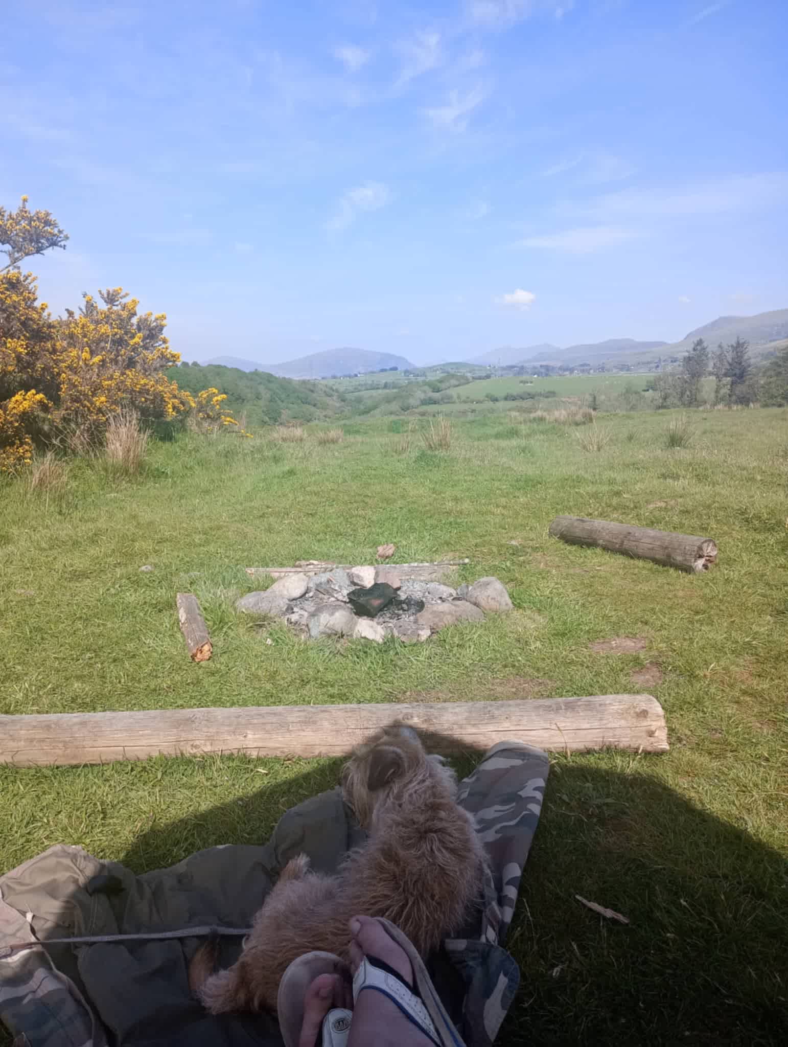 Henbant Permaculture Farm + Camp