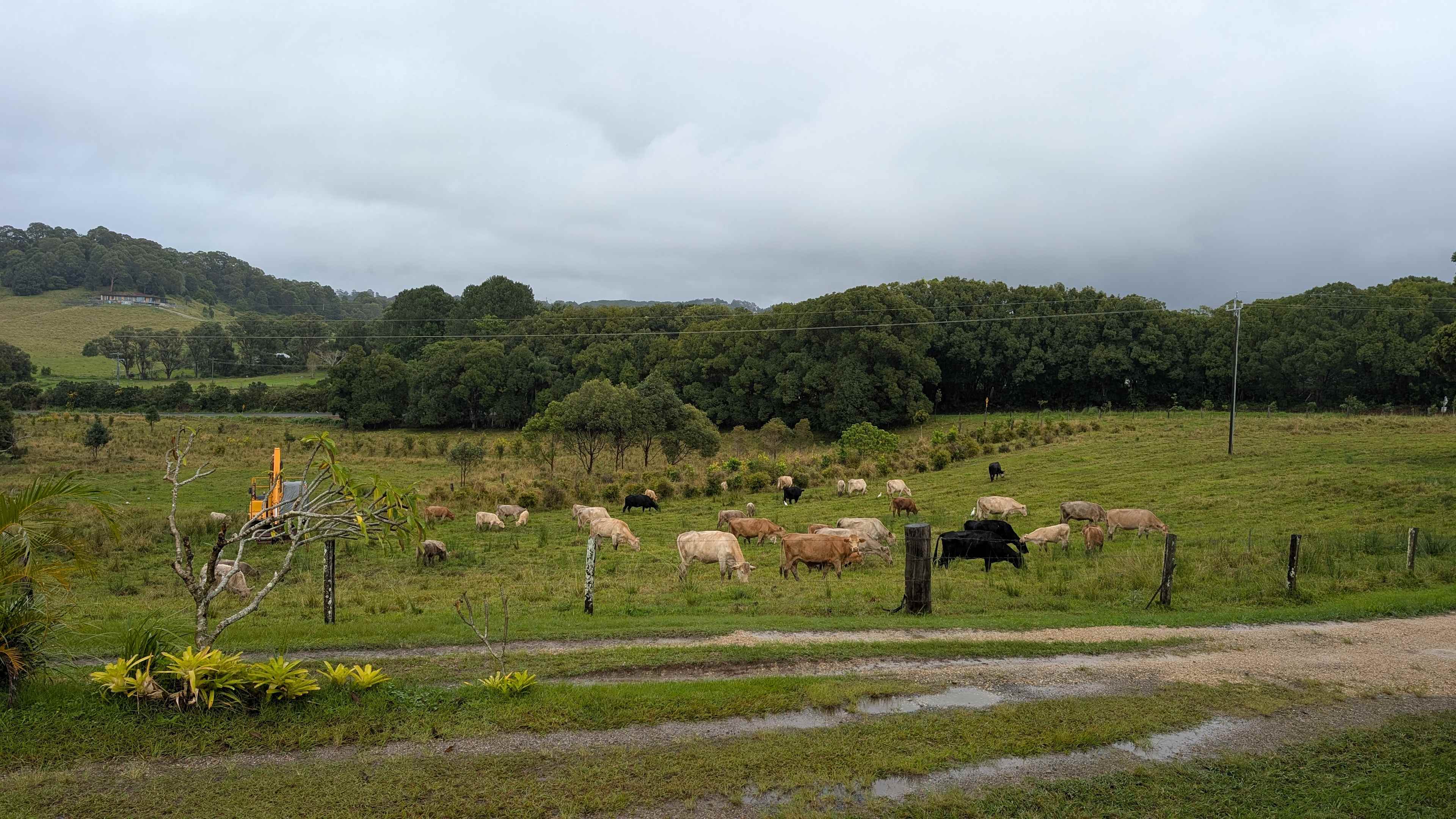 Byron Myocum Farm