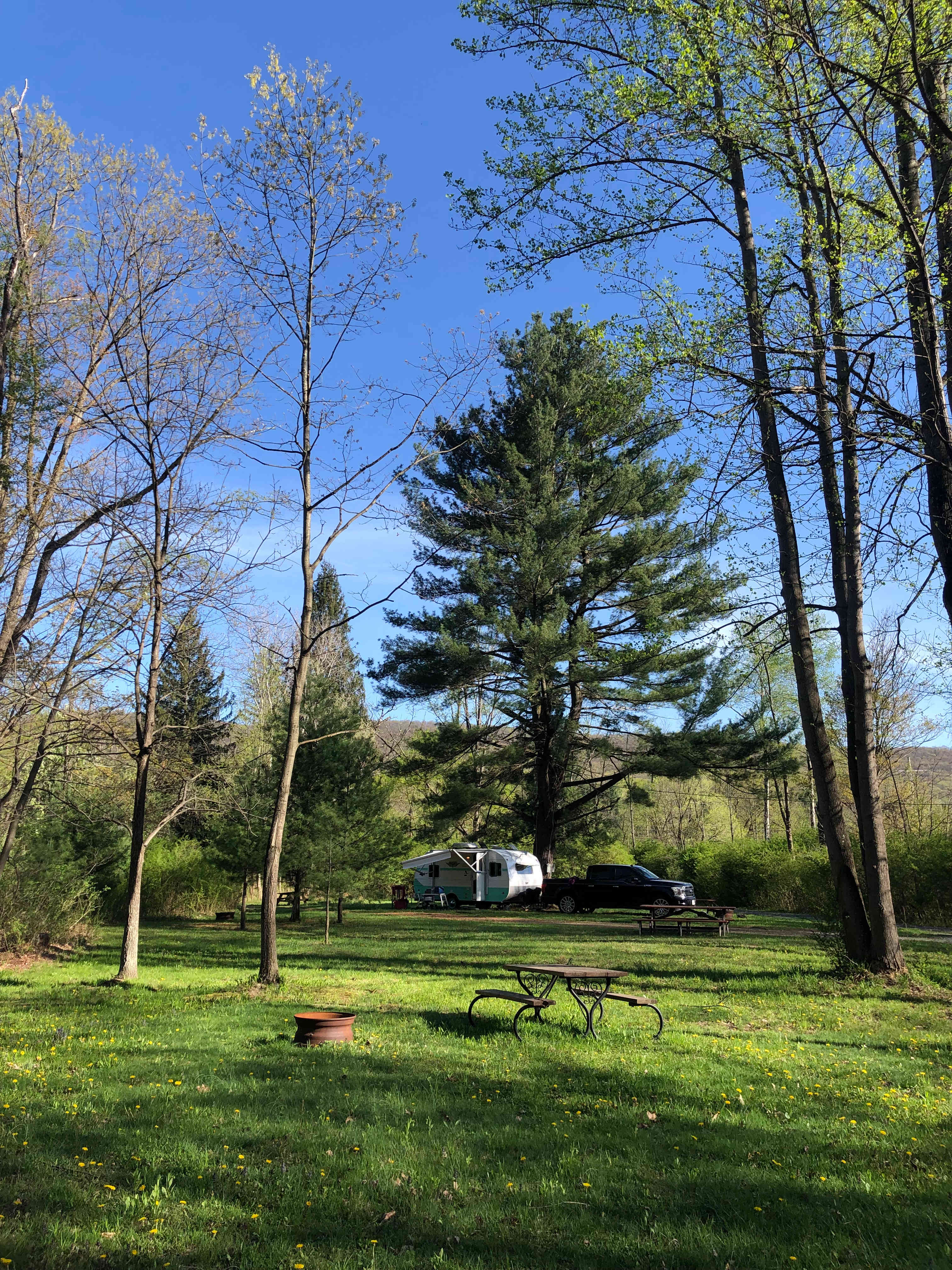 Bald Eagle Campsite