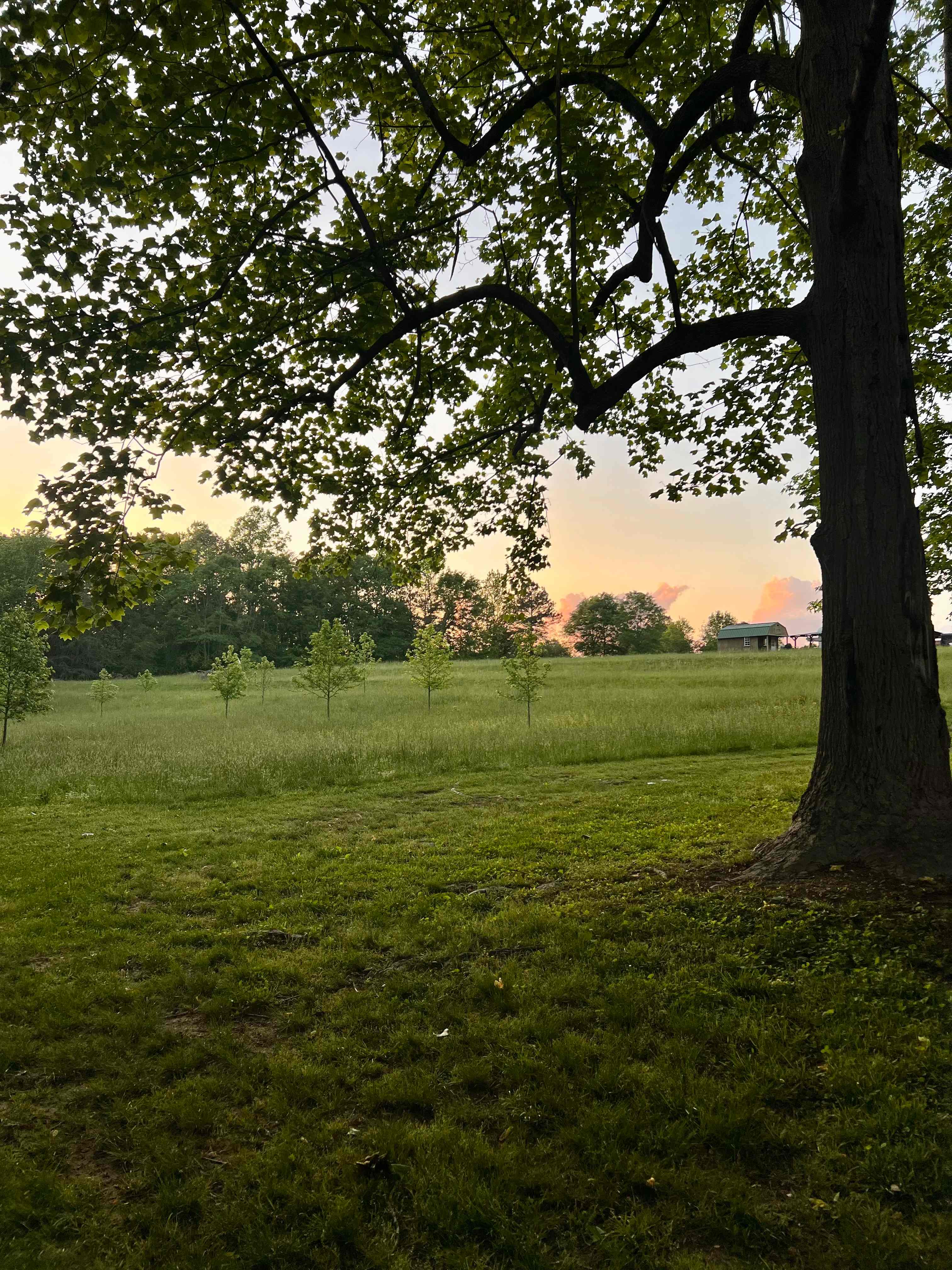 Beautiful view
