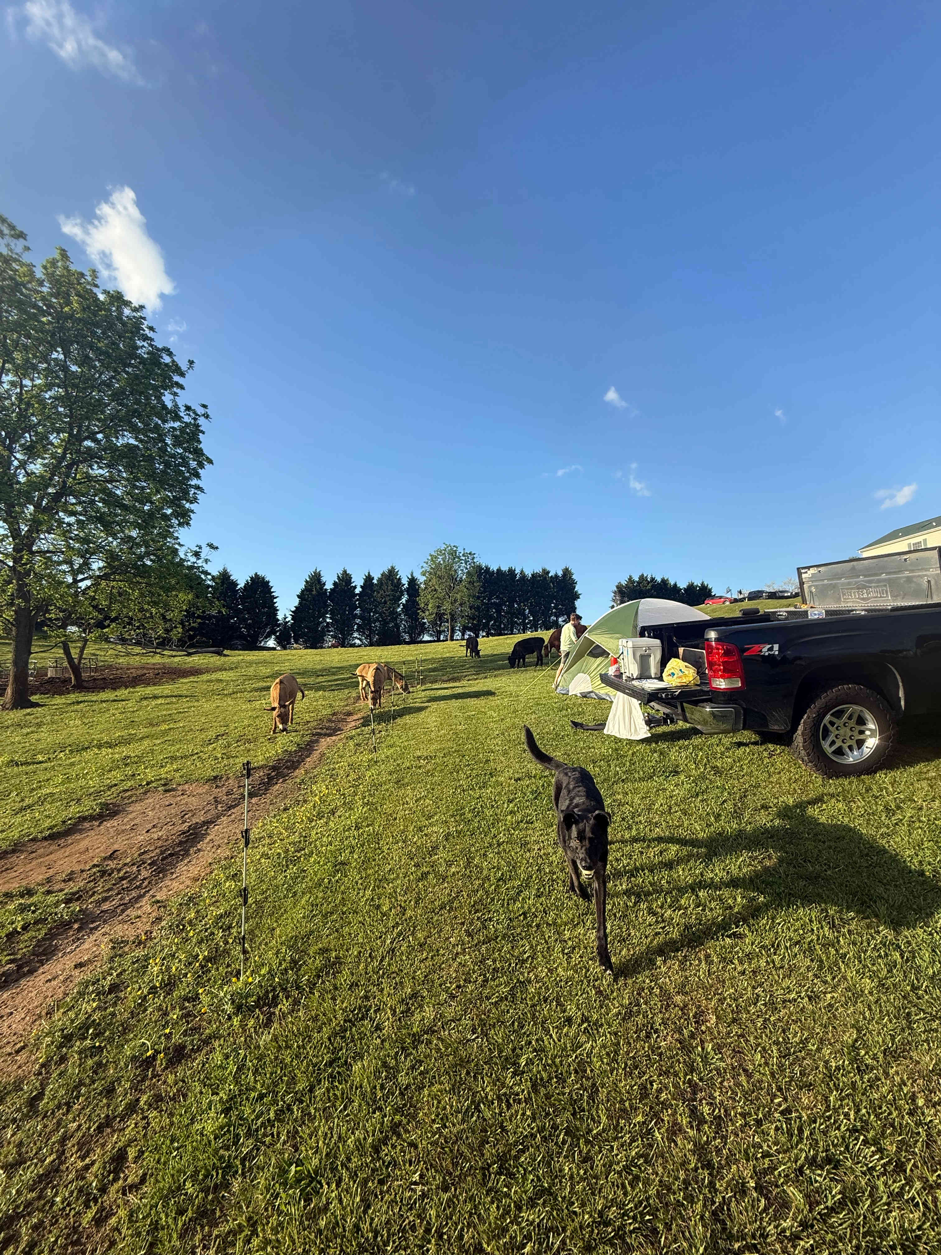 Mountain View Acres