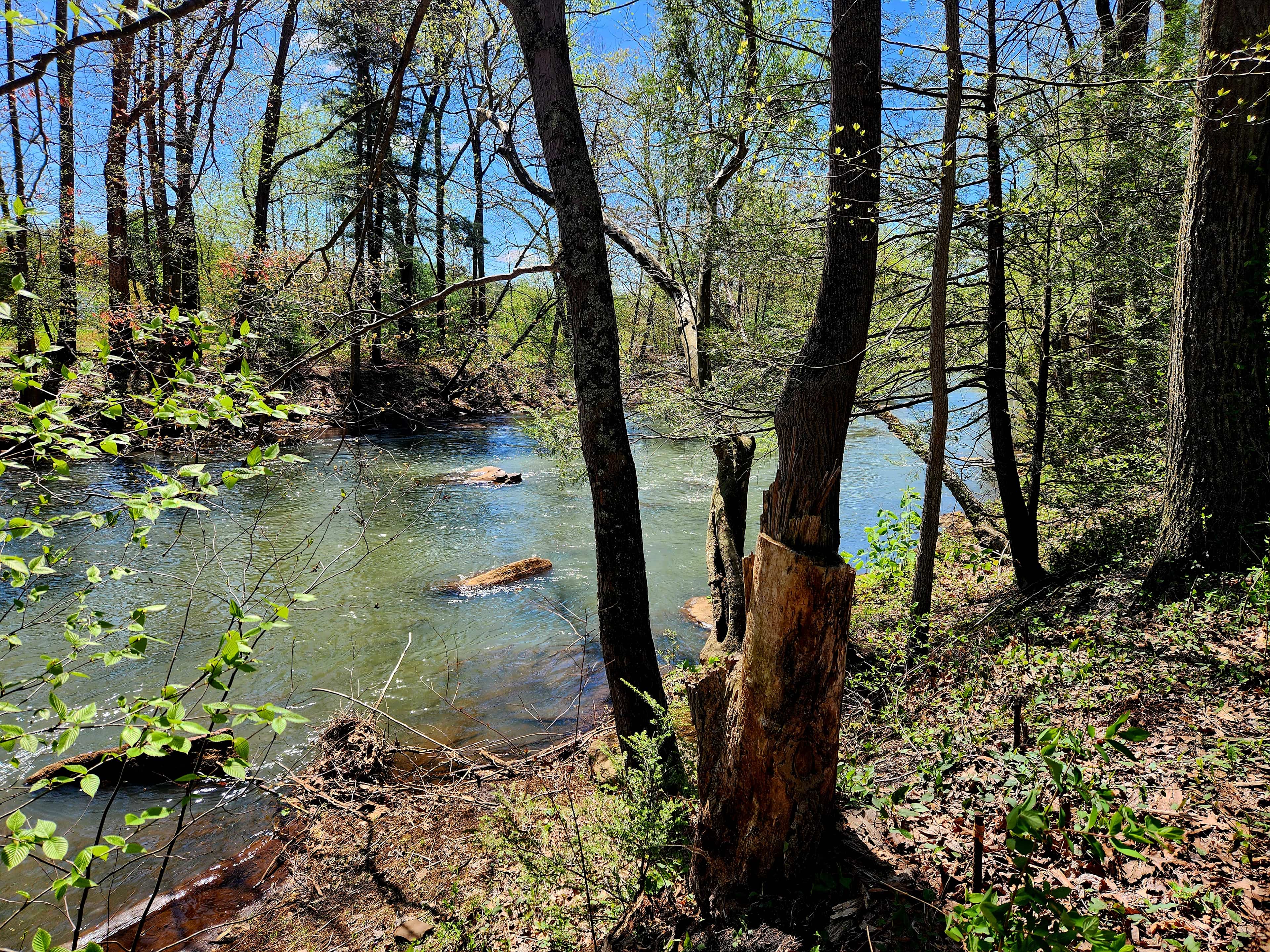 Little Mahanoy Creek Campground