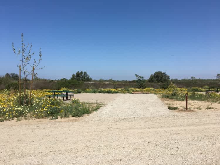 Site 3