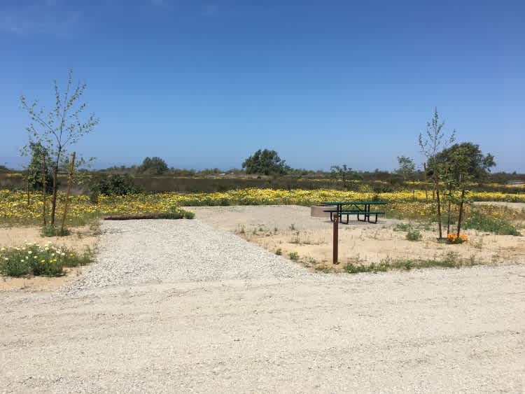 Site 7