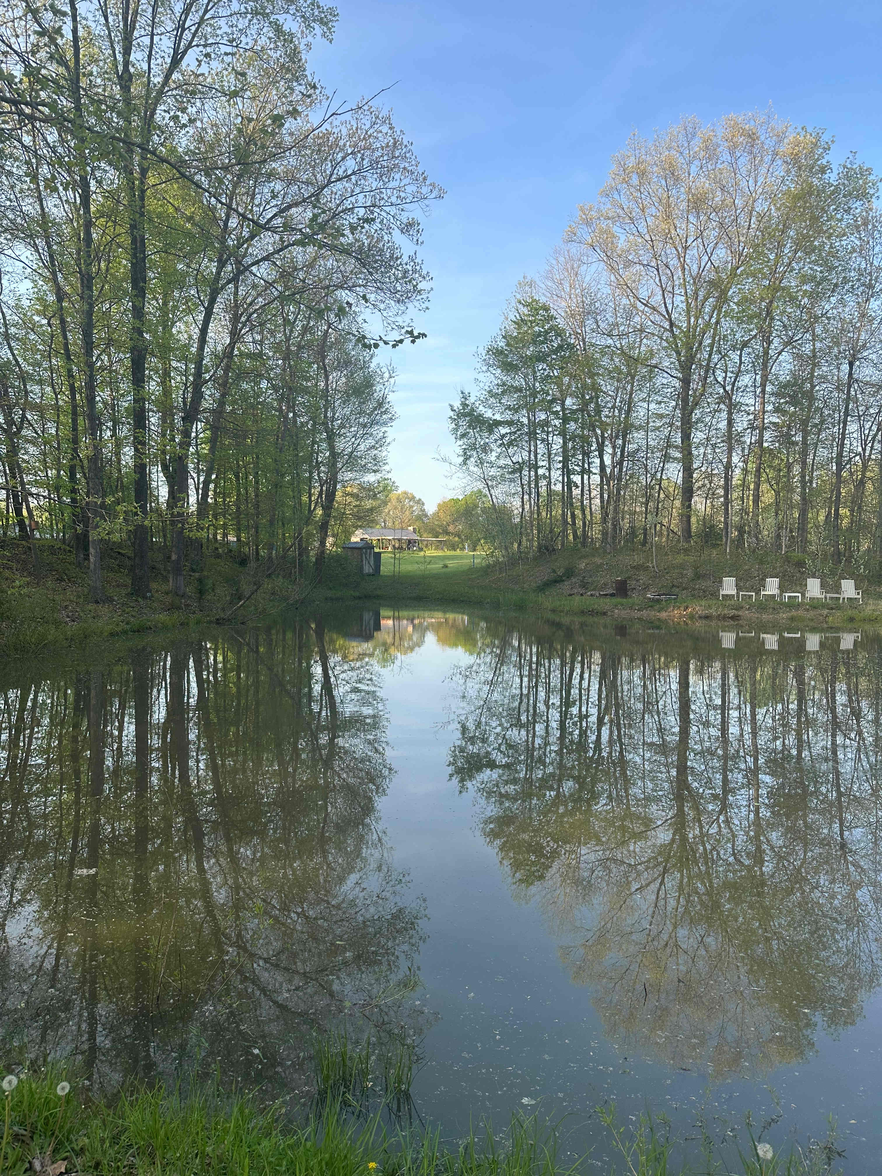 Backroads Vineyard LLC