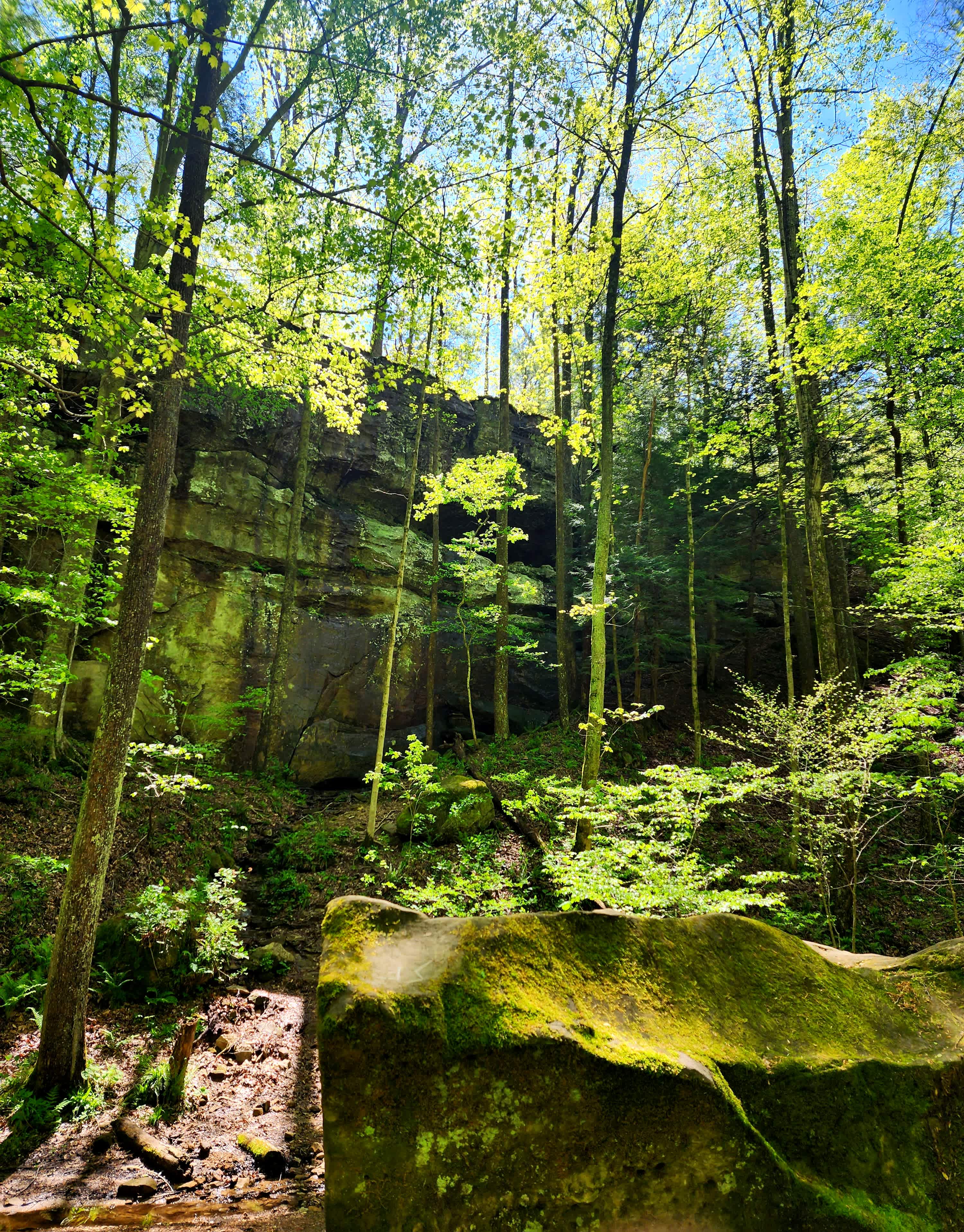 Hemlock Cliffs