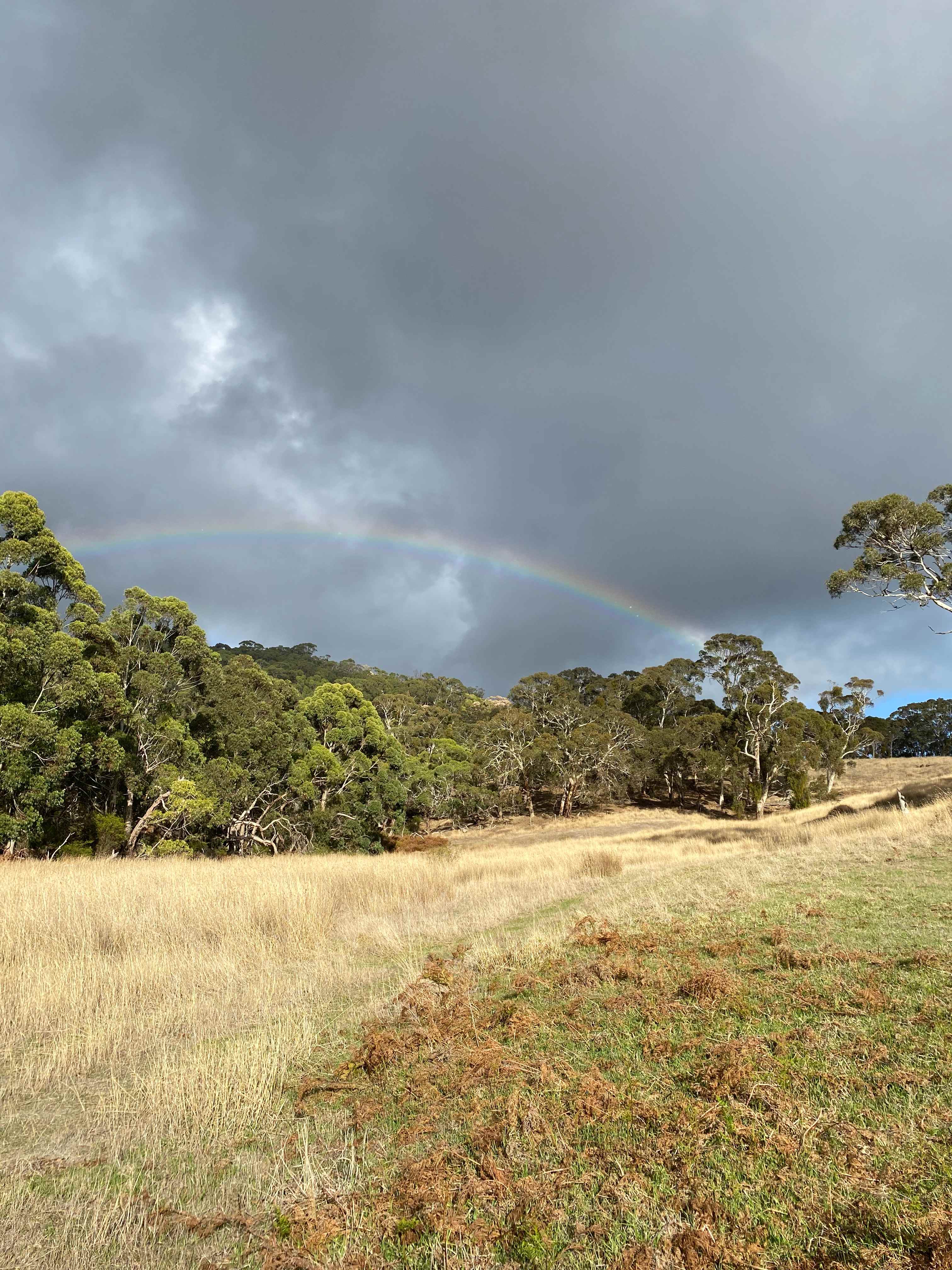 Kookaburra Cottage Farm