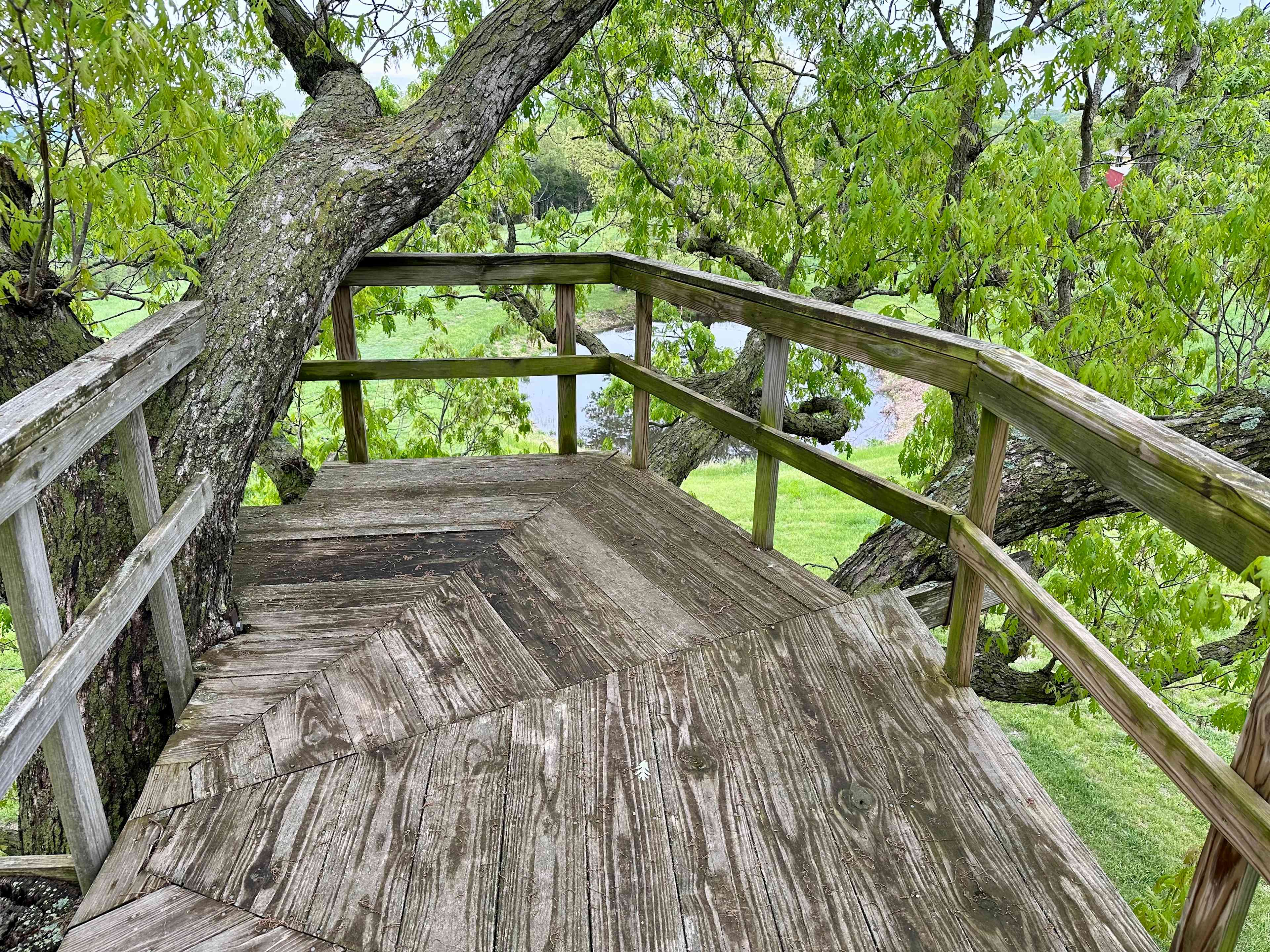 Solid, safe treehouse.