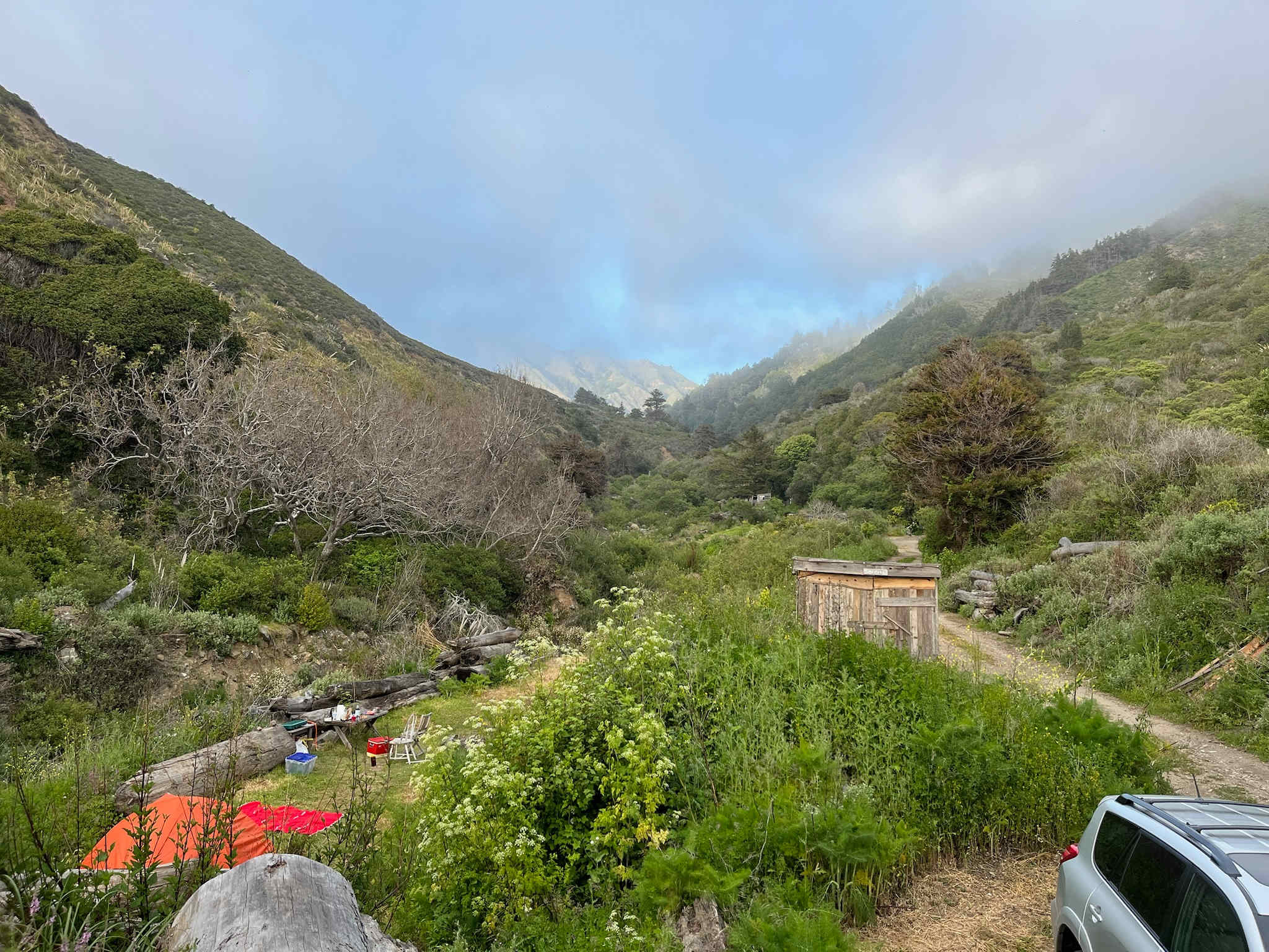 dabudage Big Sur