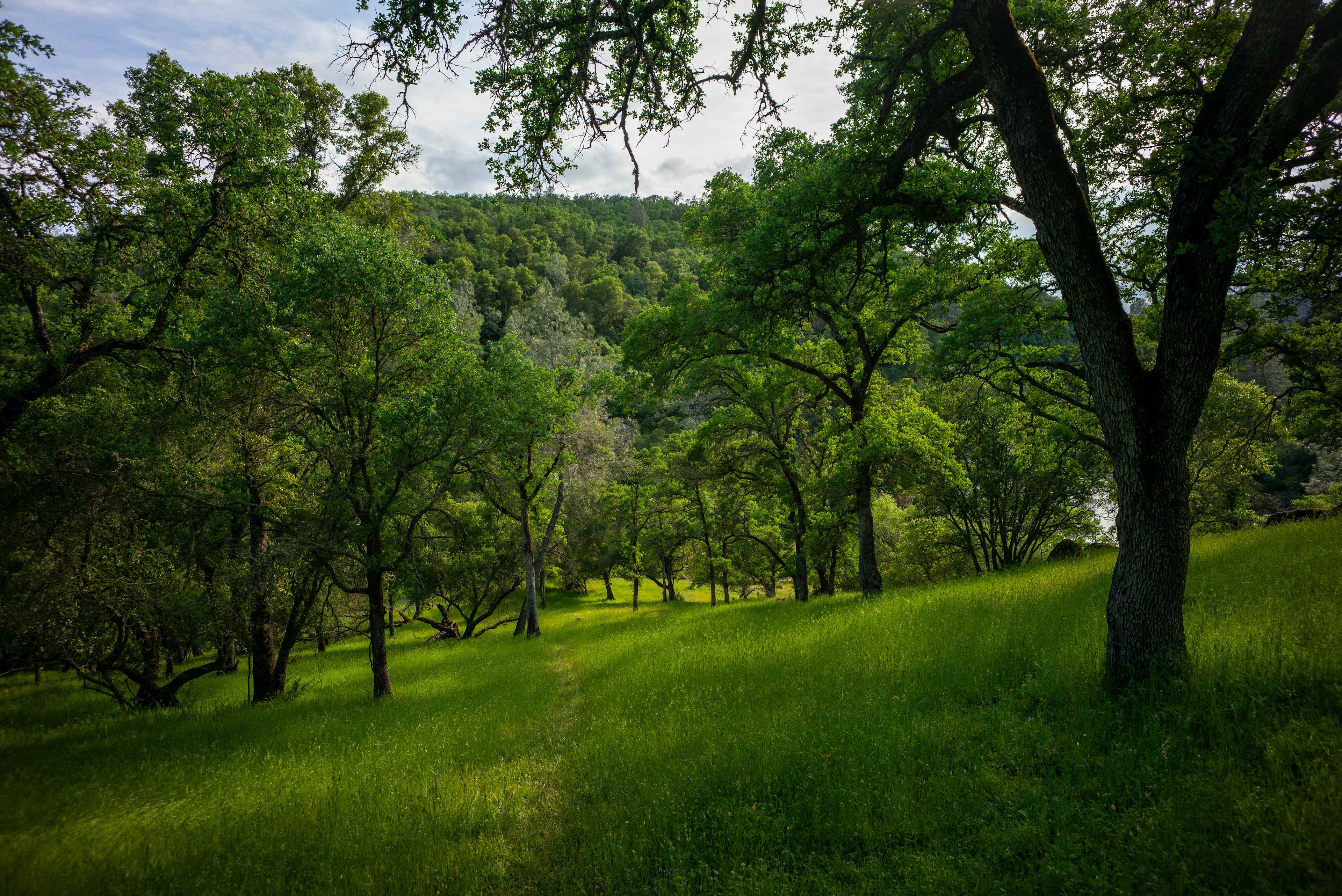 Cosumnes River Ranch