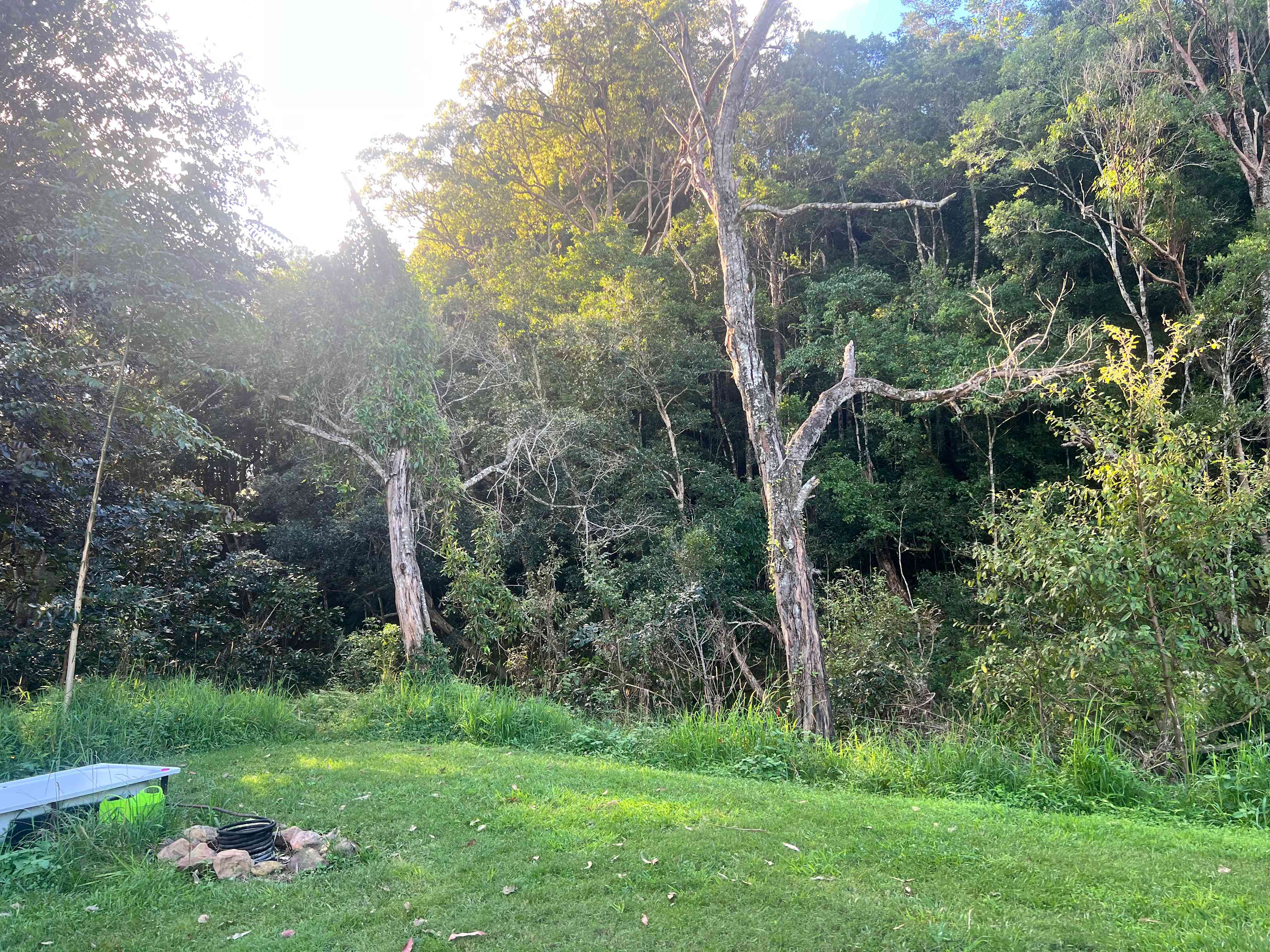 Rowlands Creek Camp Area