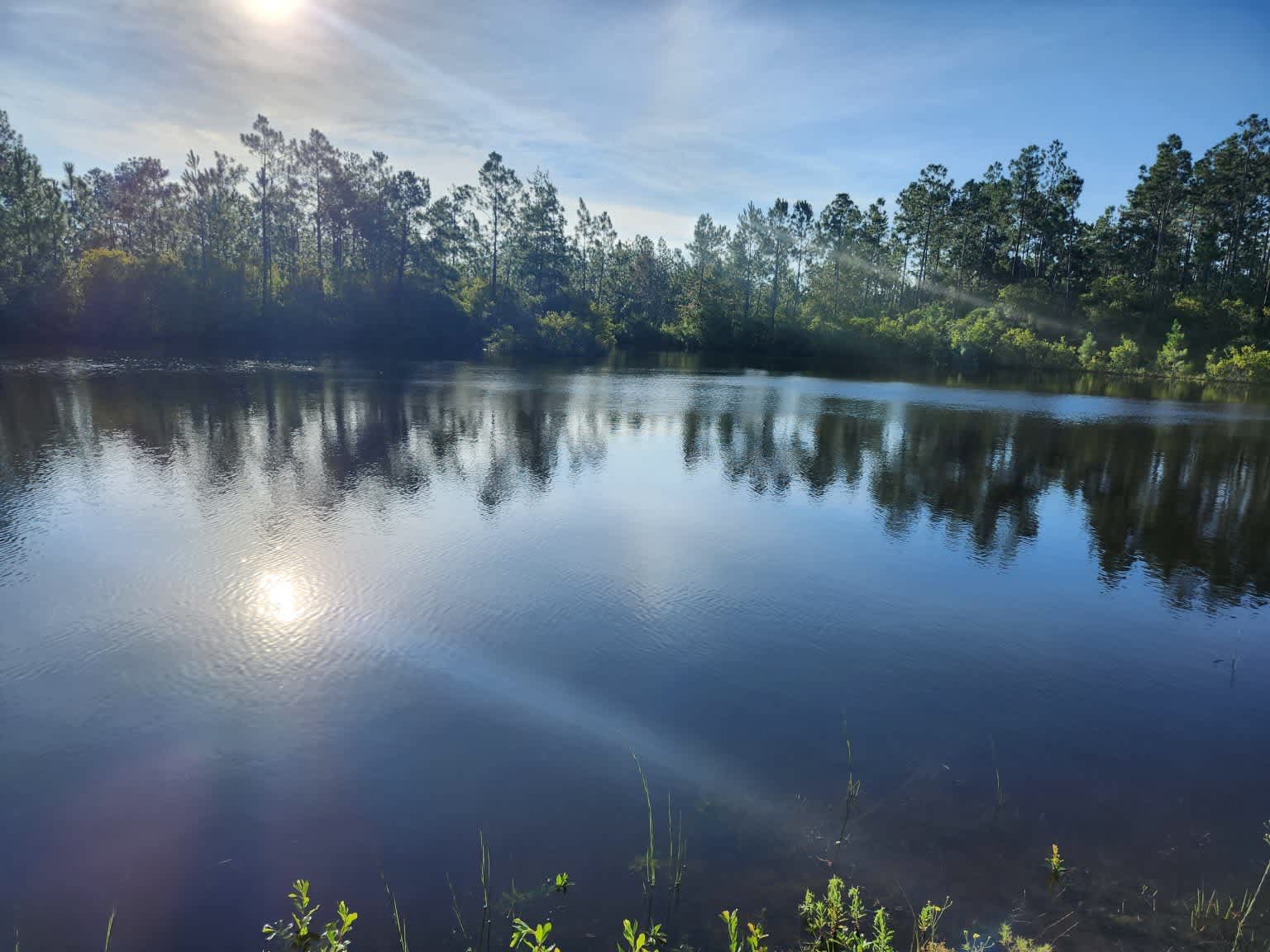 Pine Lake RV Park
