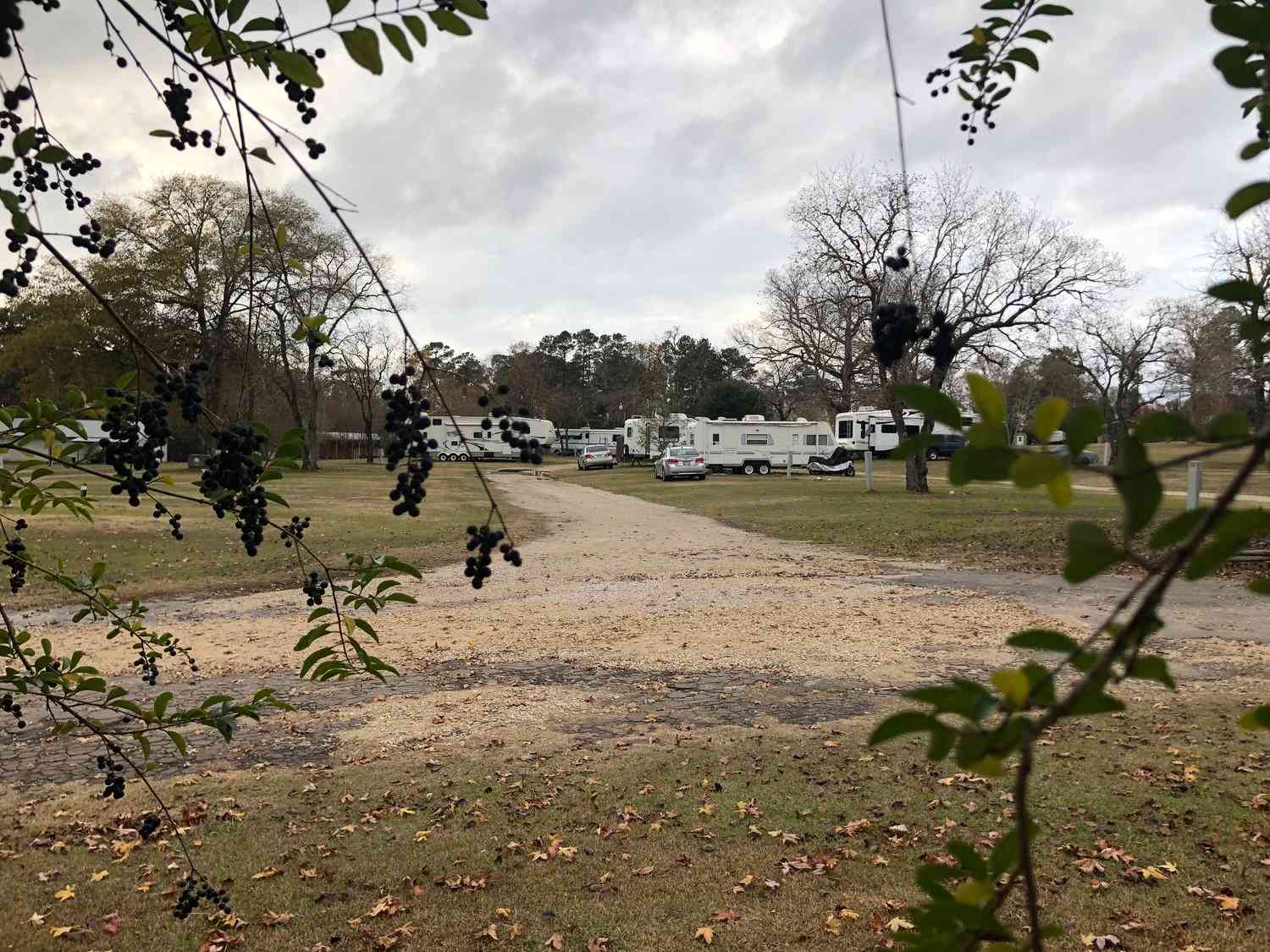 Magnolia Lake RV Park