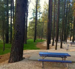 Clio’s Rivers Edge RV Park