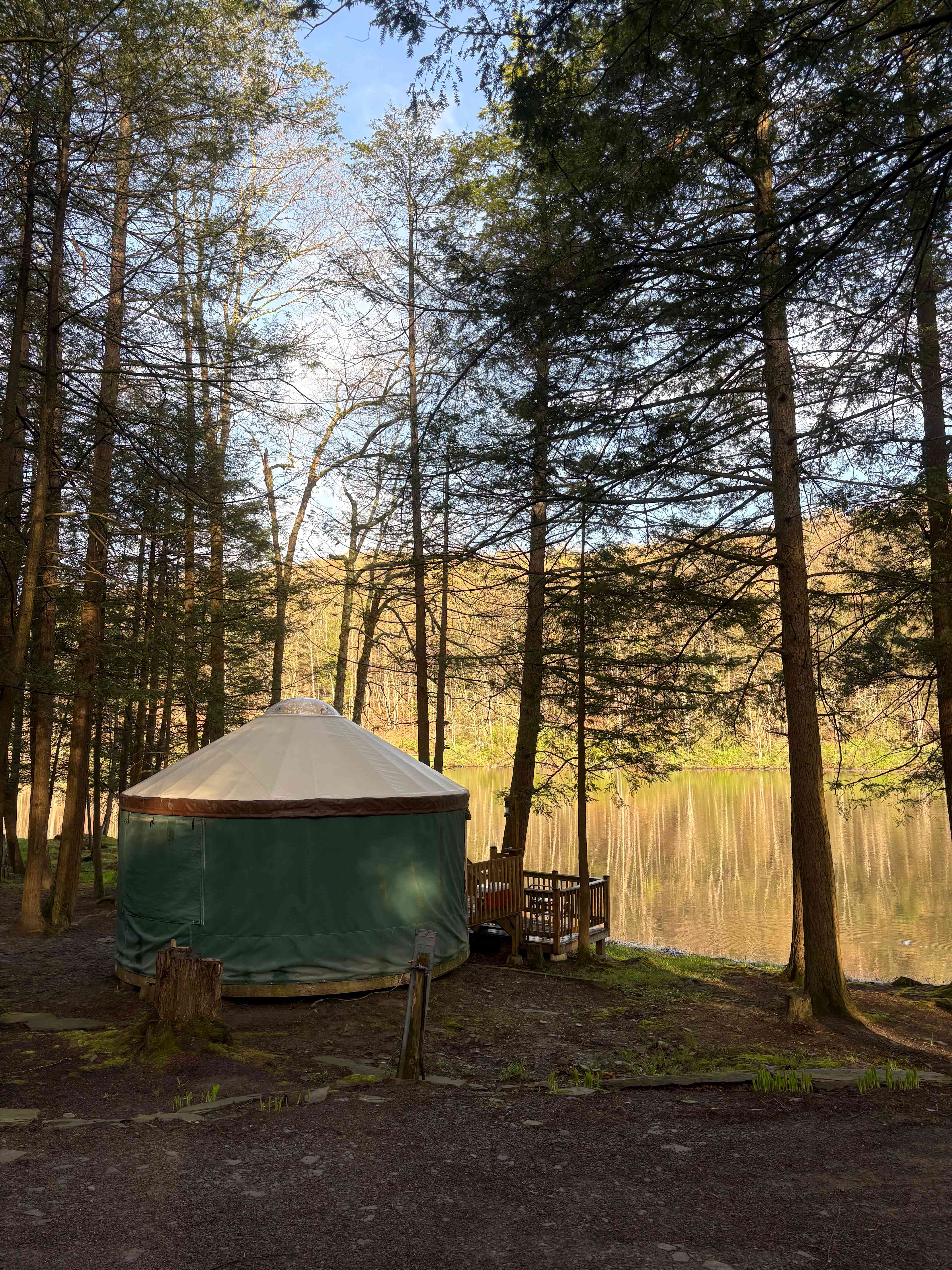 Morning at the yurt - Lakeside 22