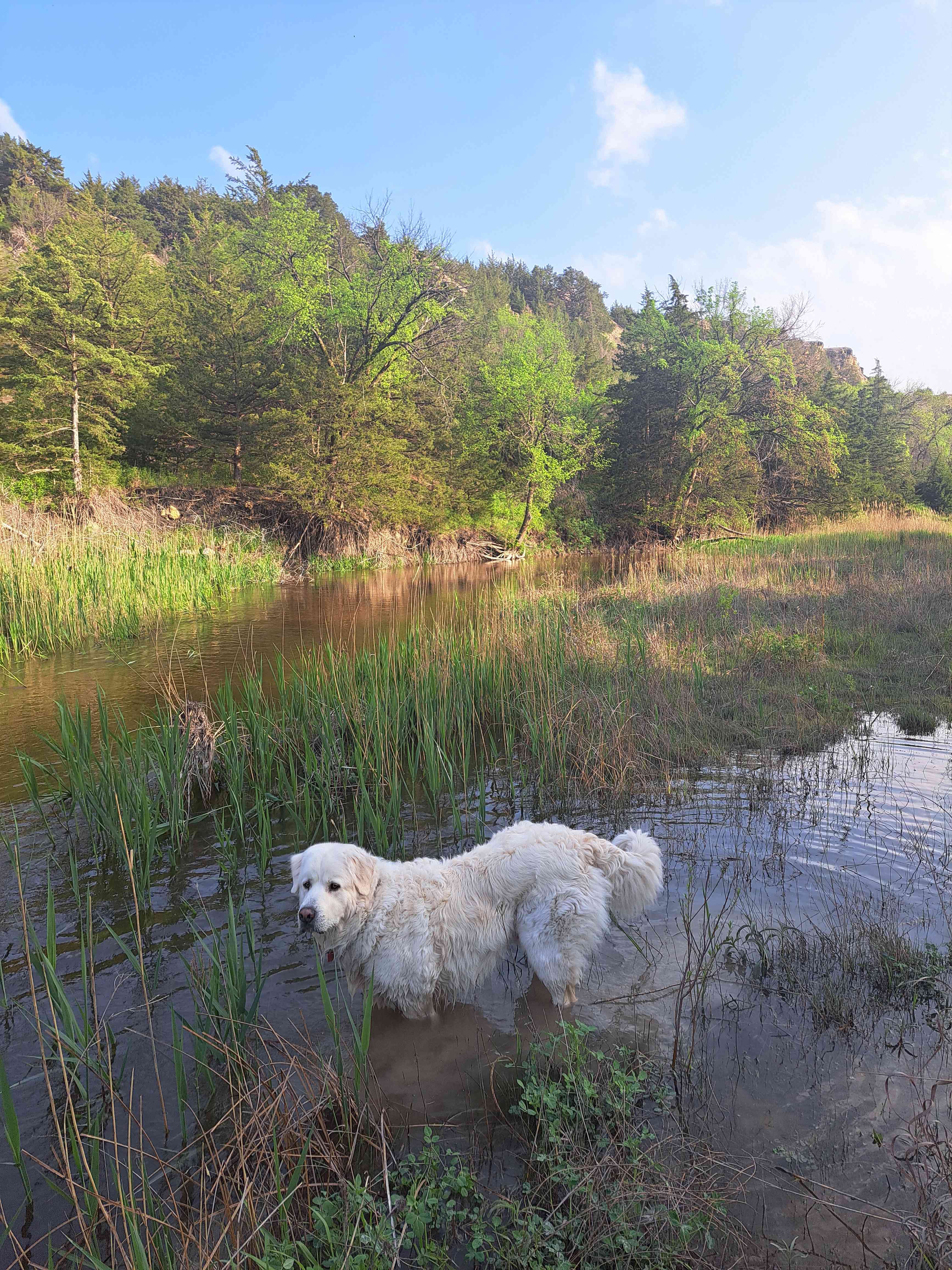 C2T Ranch on the Saline River