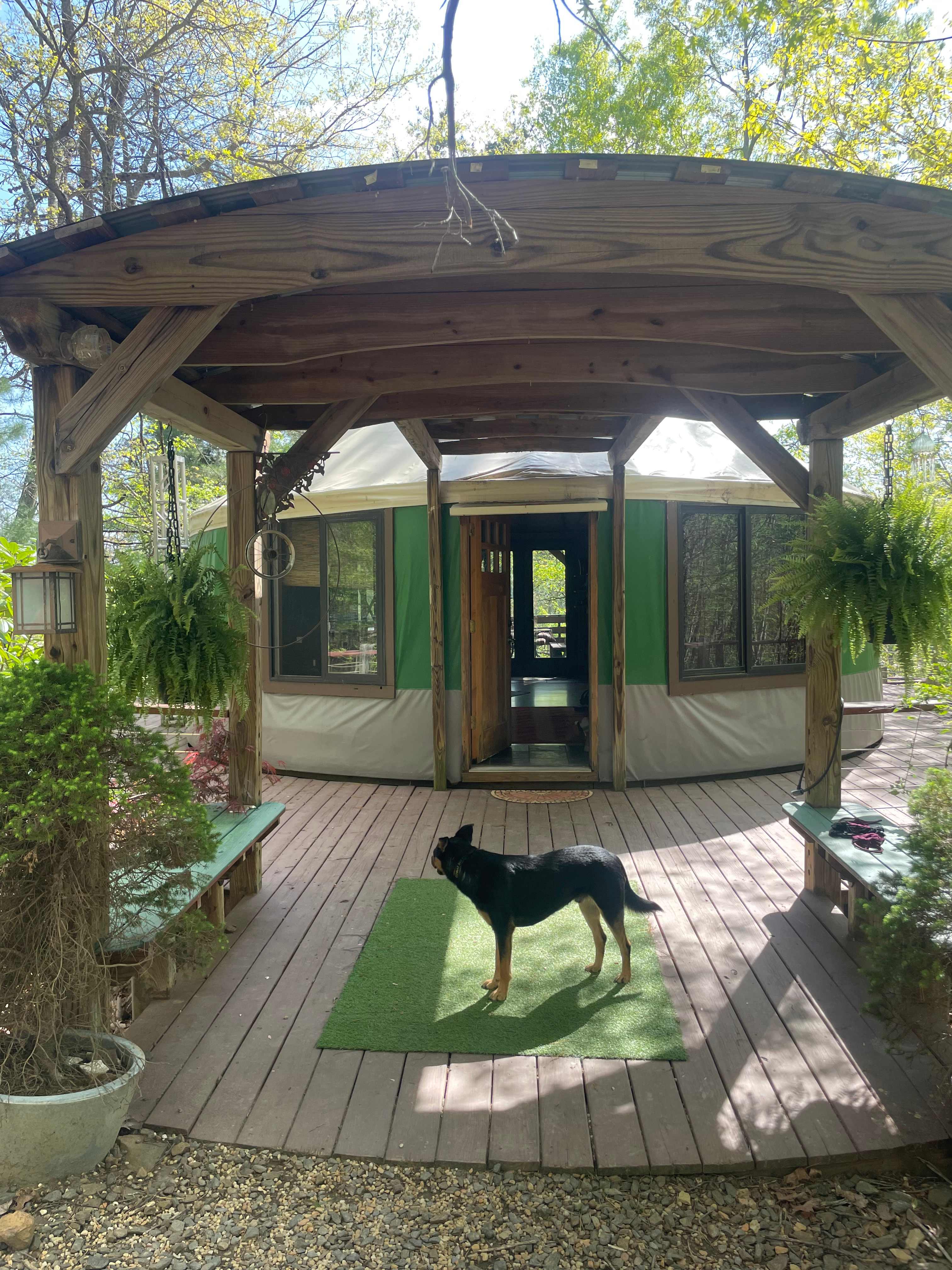 Why B Square mountain yurt rentals