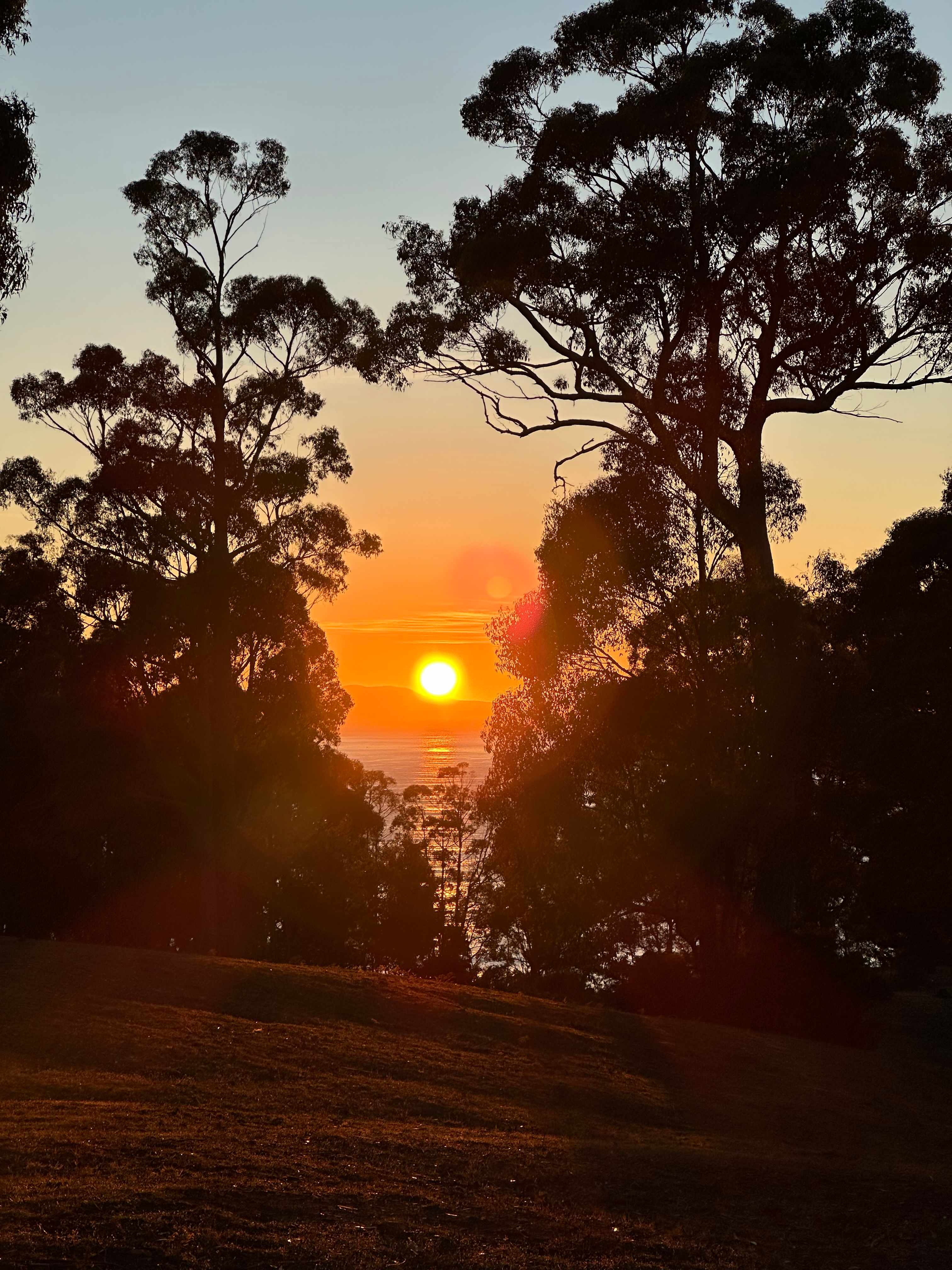 Sunrise over the site. 