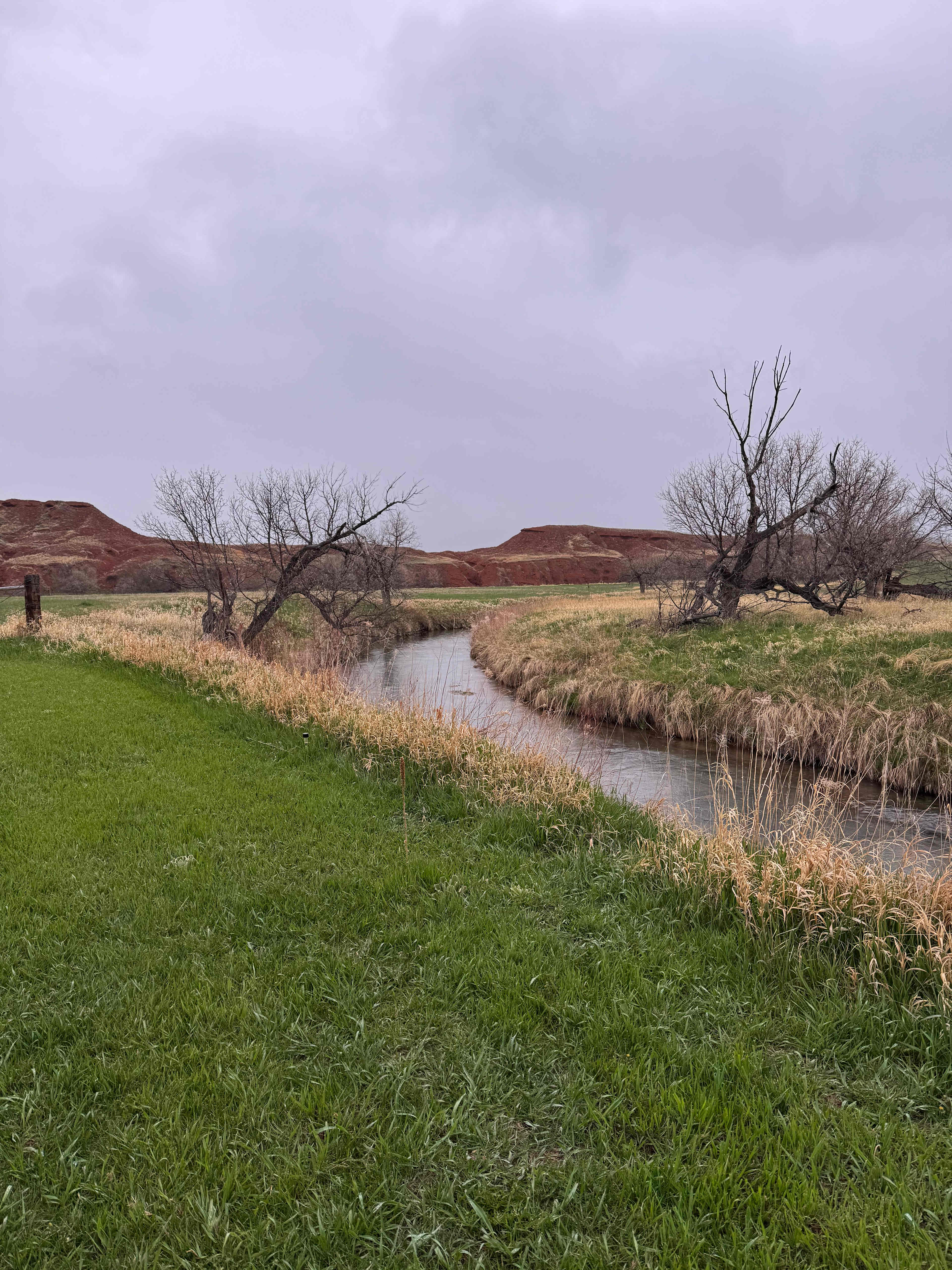 Redwater Revival Campground