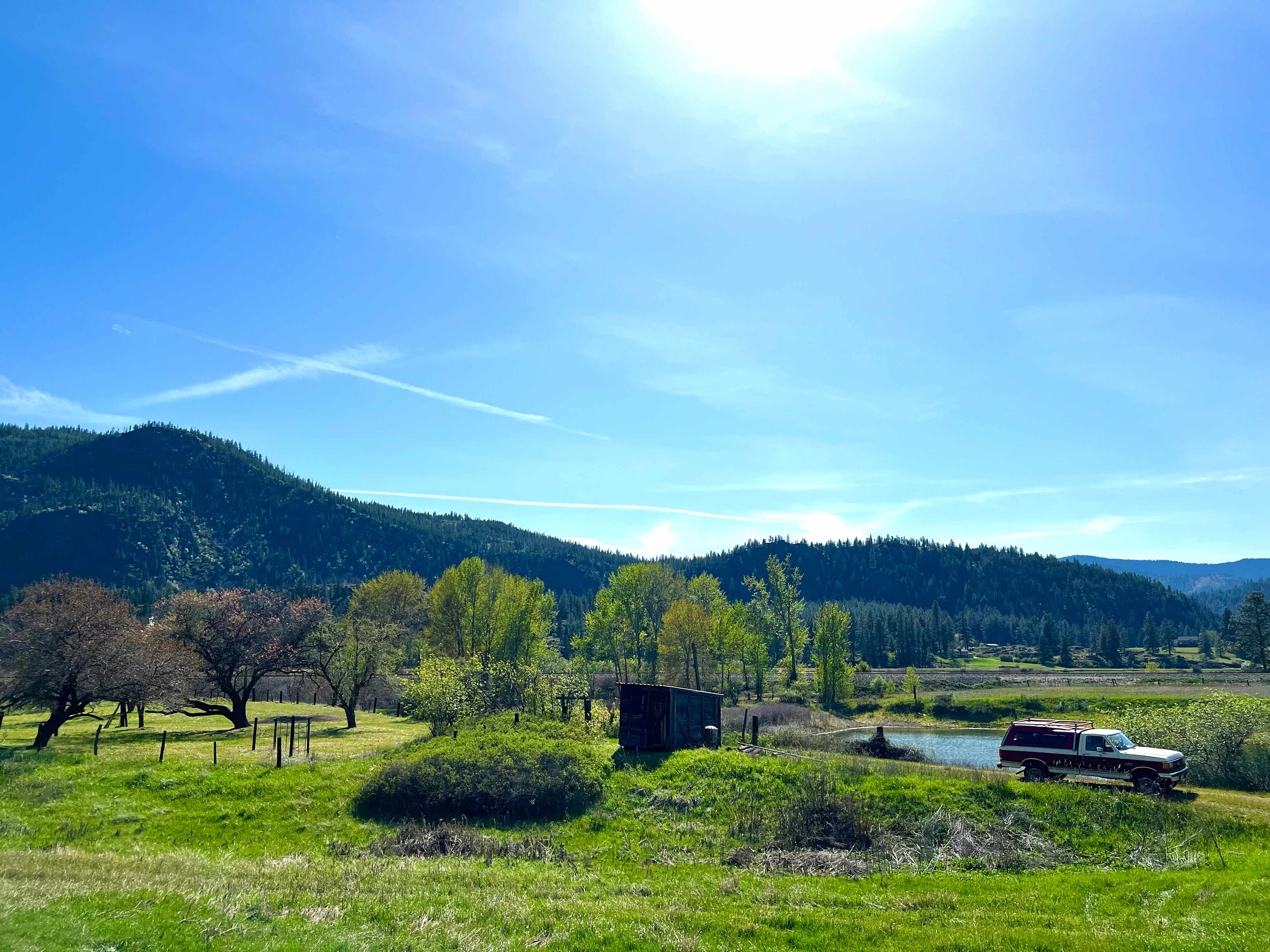 The Orchard On The Ol’ Homestead