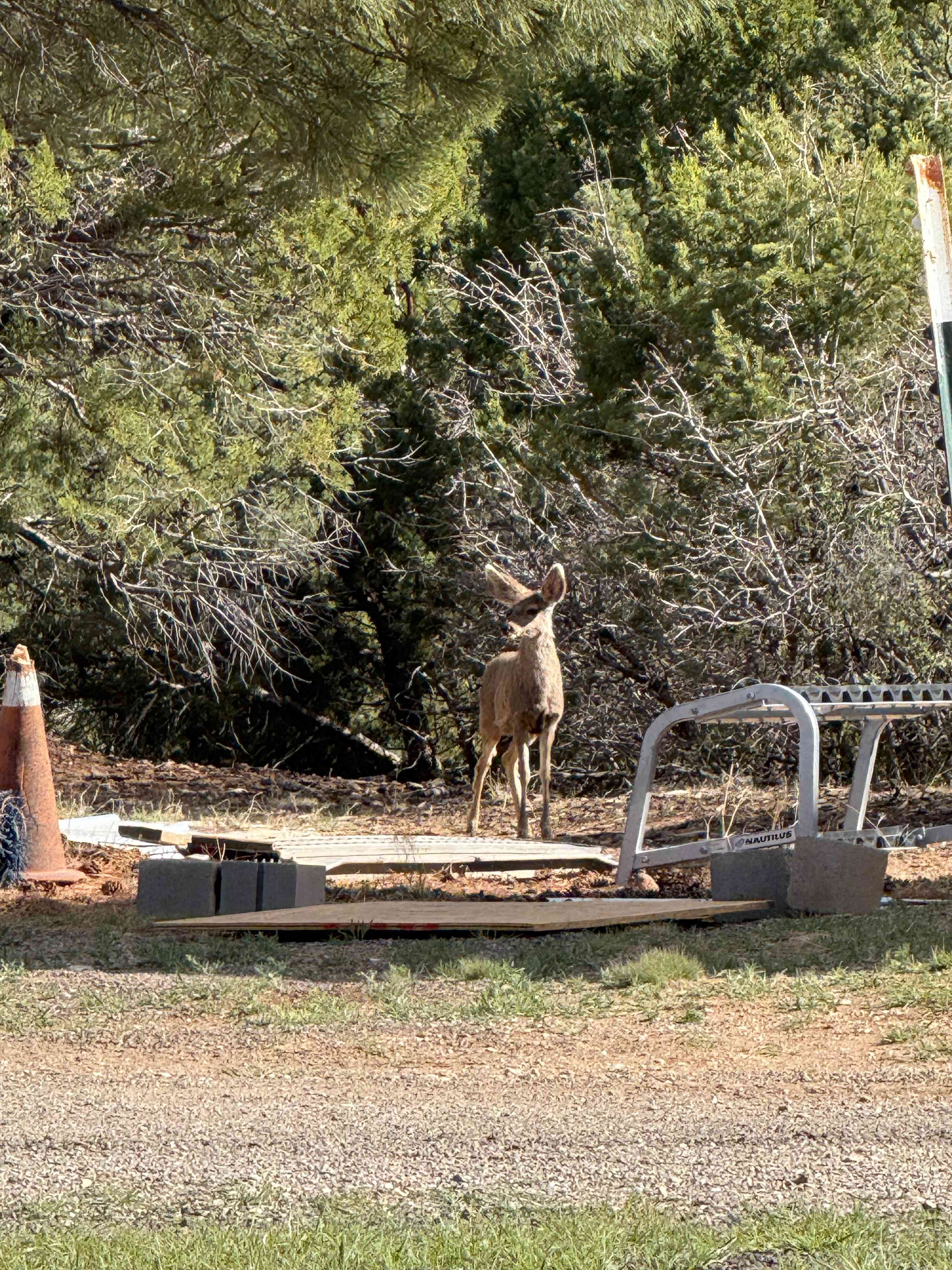Manzano Mountain Retreat
