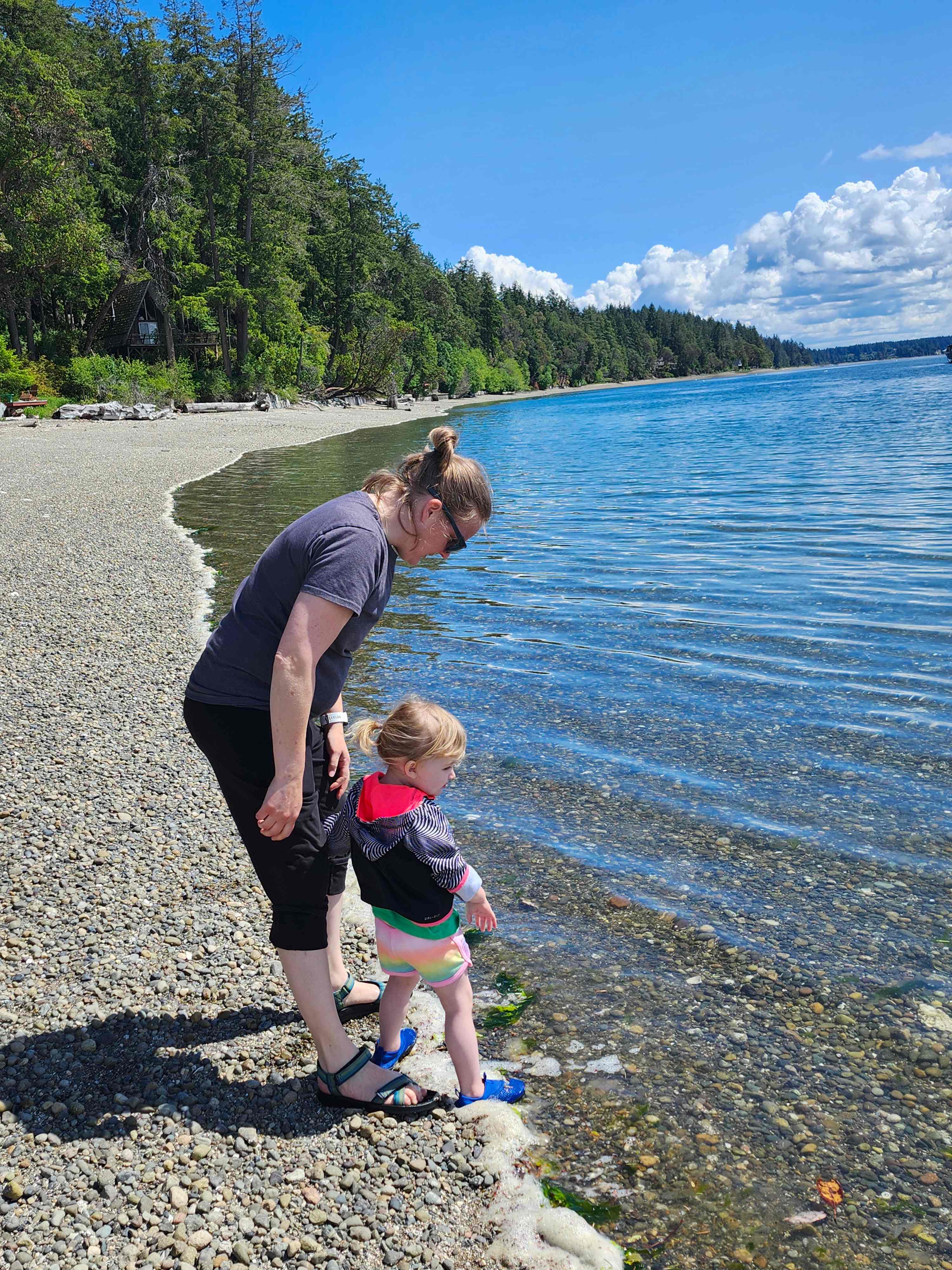 Woodland Grove on the Coast