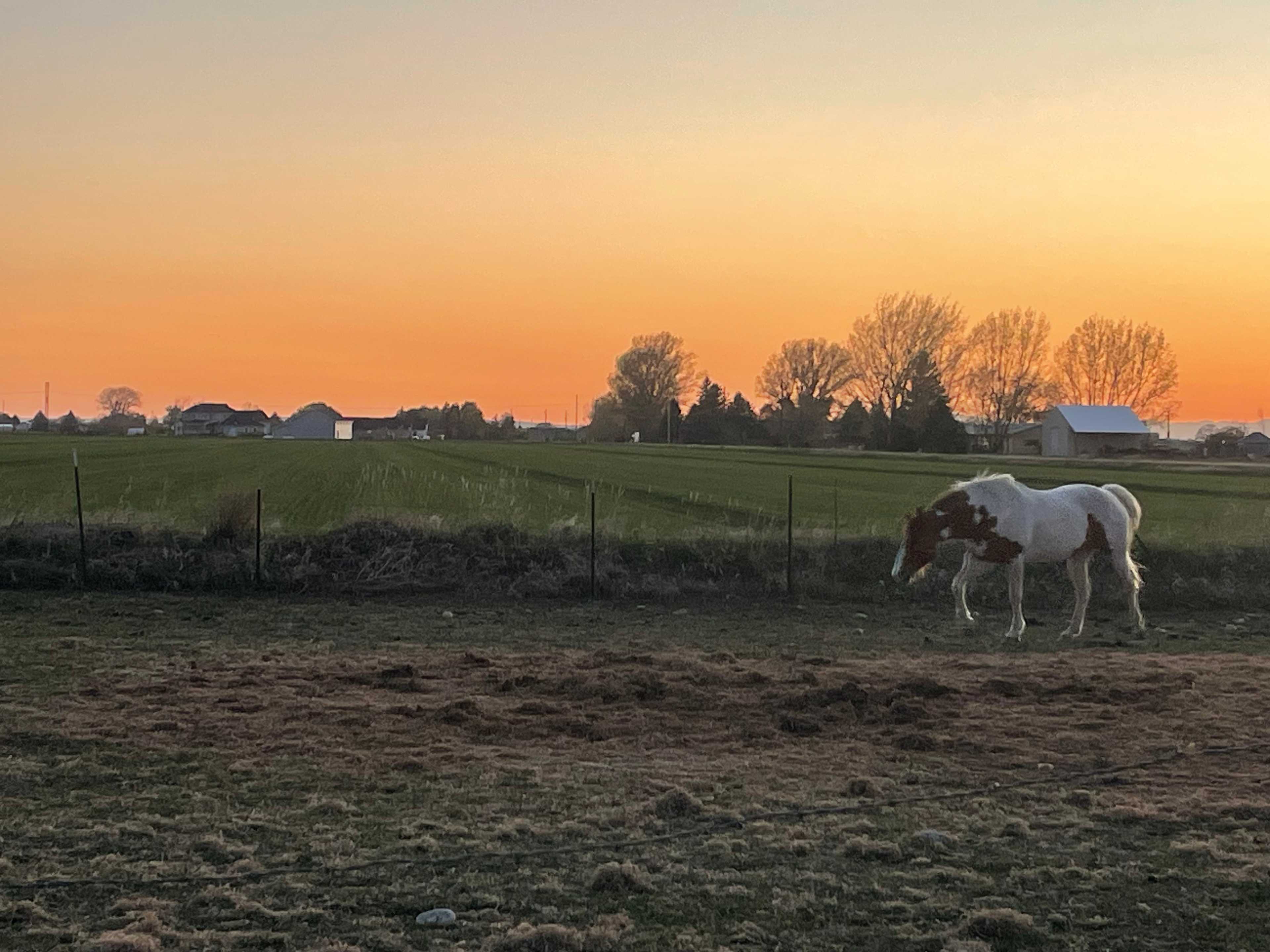 Hobby Farm With Perfect Sunsets