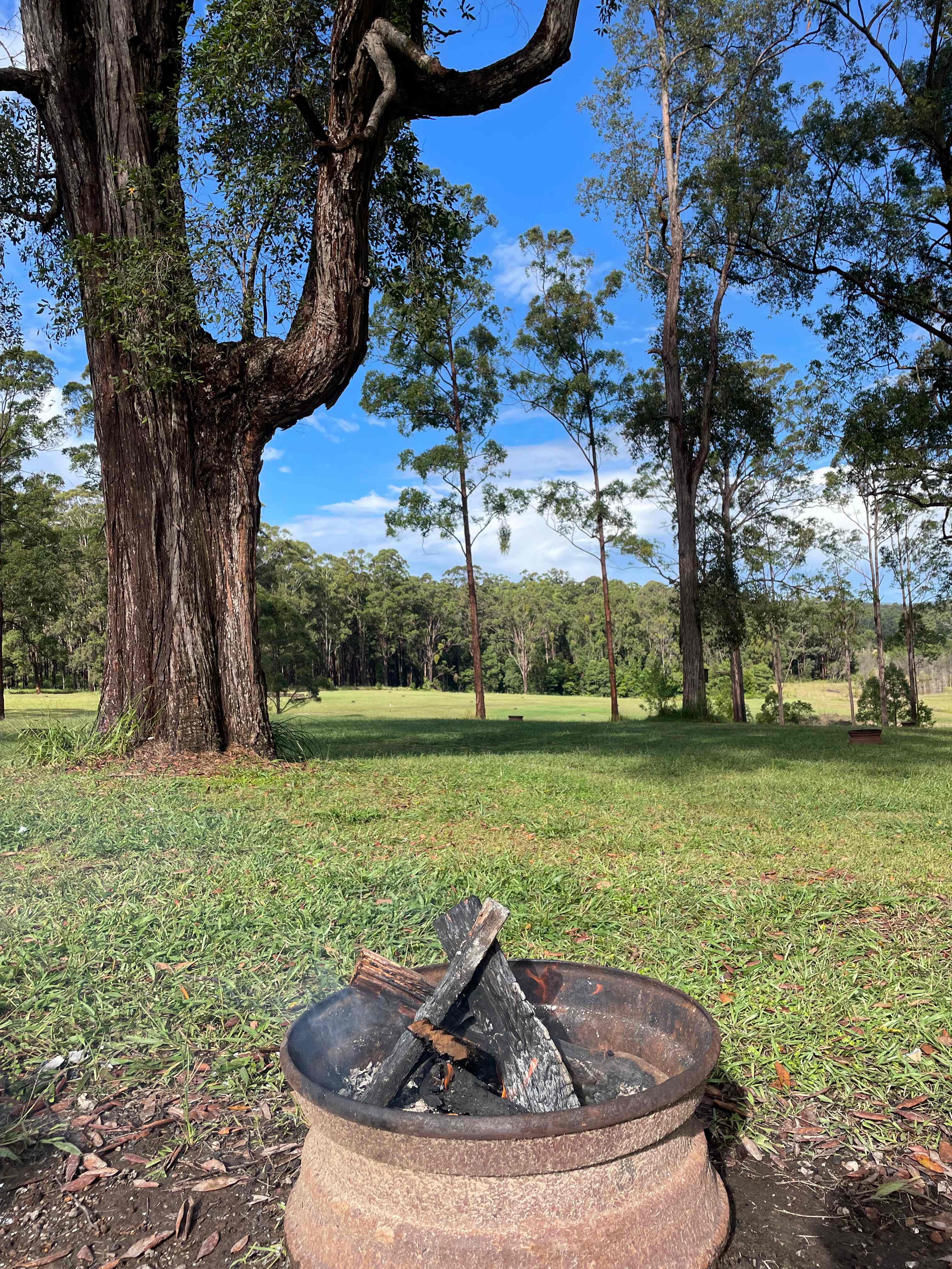 Coffs Harbour Camping & Farmstay