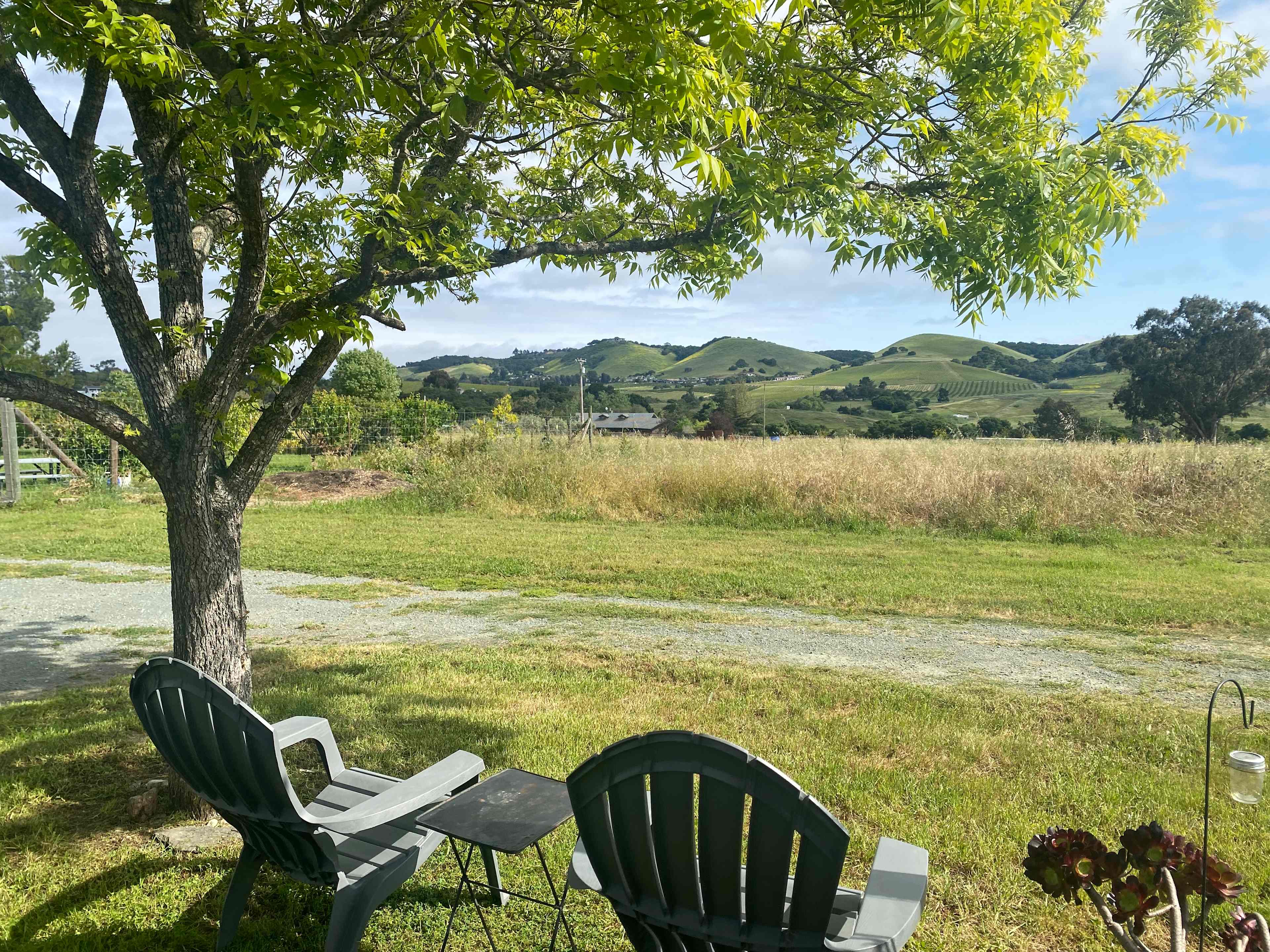 SLO Country Camp