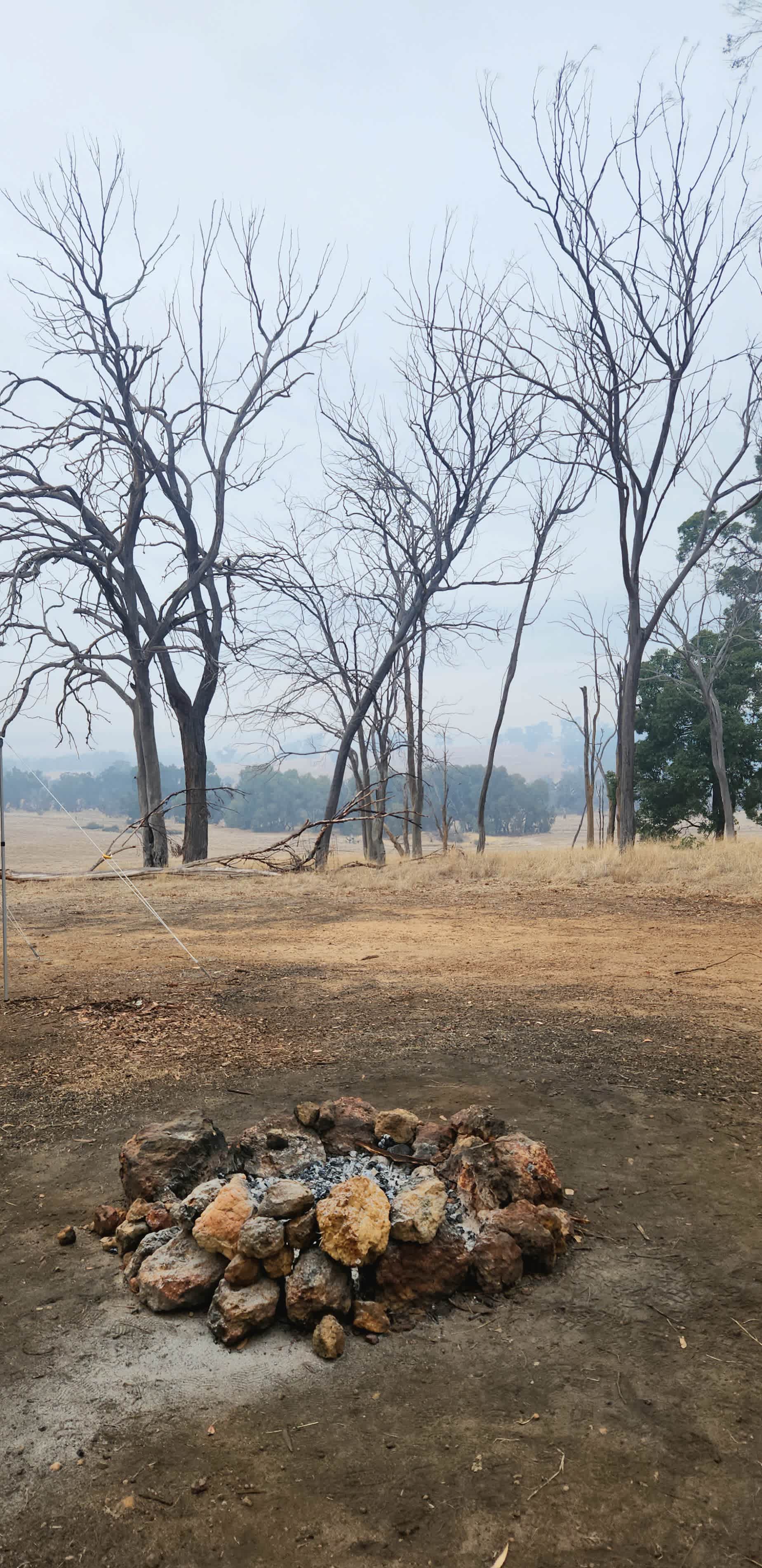 Pinegrove Camping