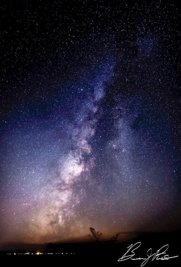 Golden Paradise & AZ Stargazer