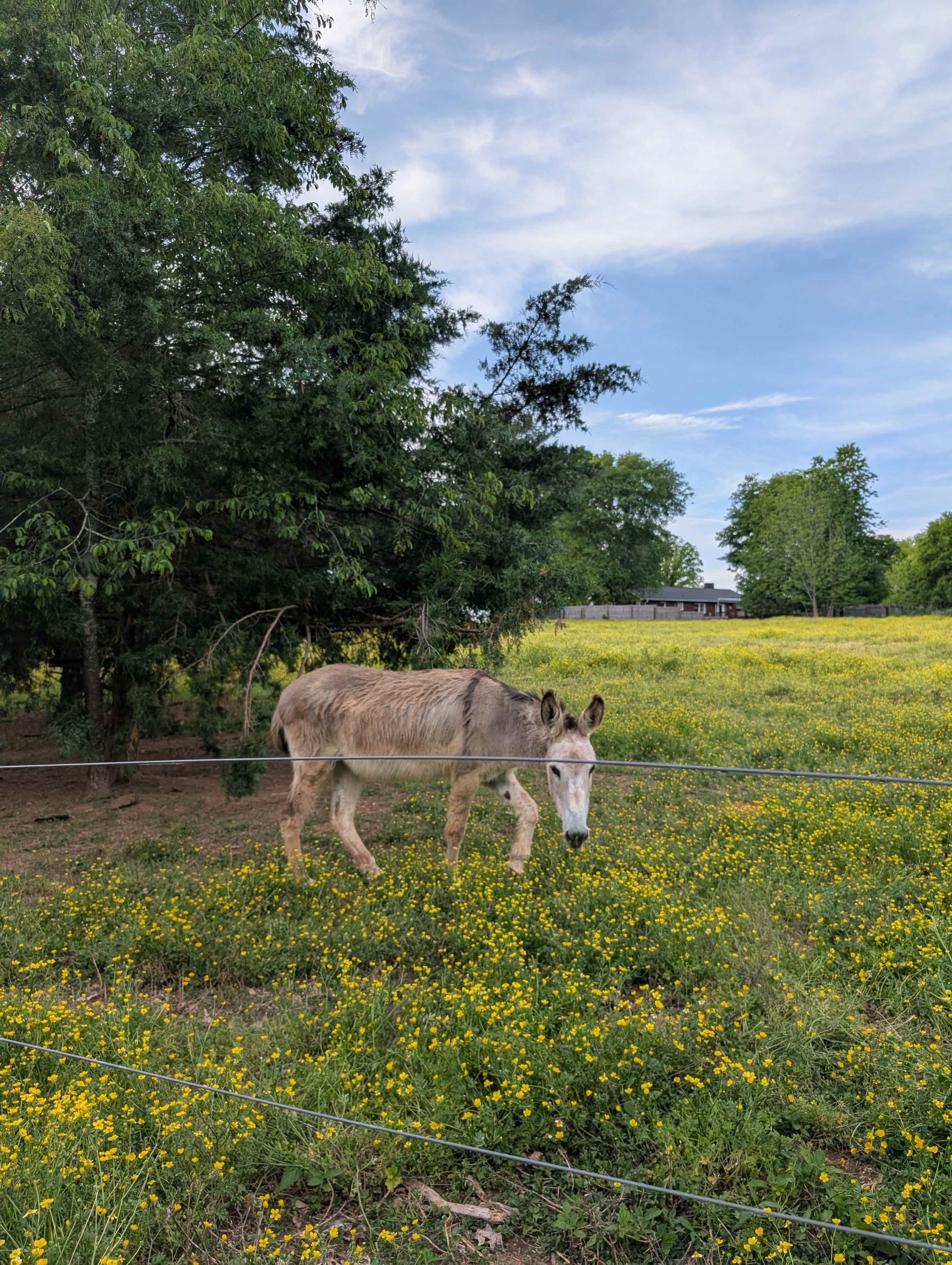 The Oasis at Harmon Creek Farms