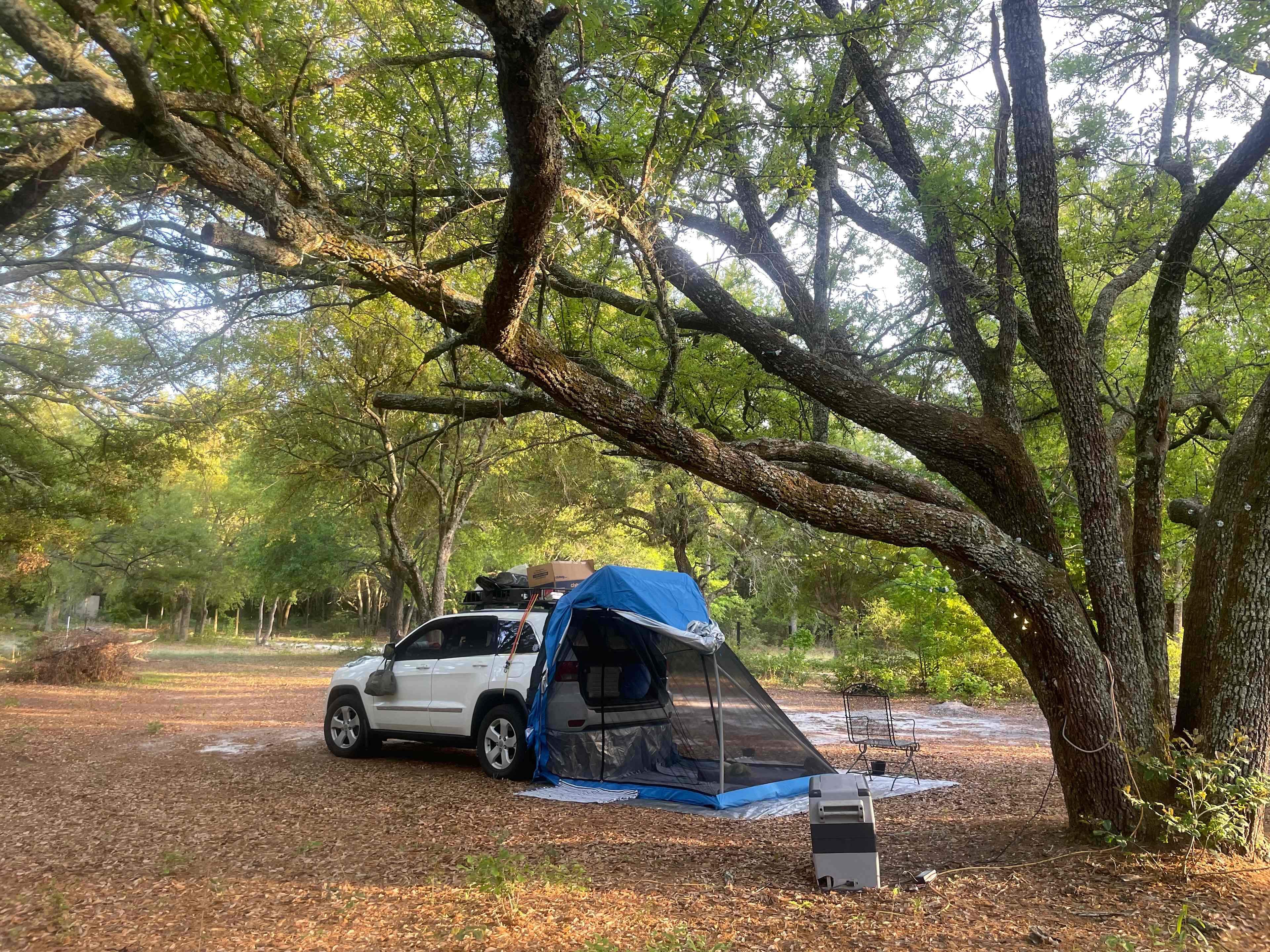 Too Many Oaks Plantation