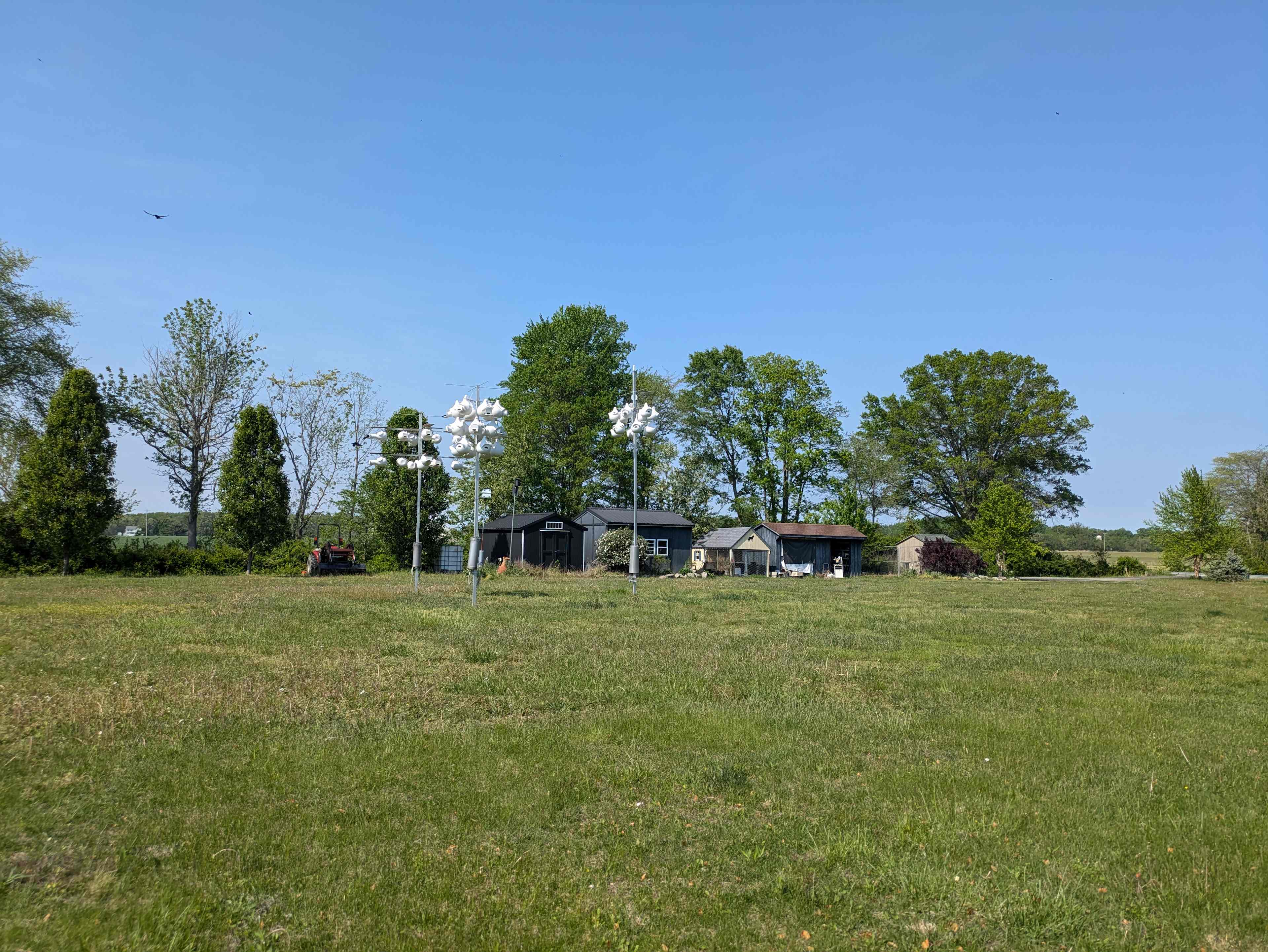 Felidae Farm