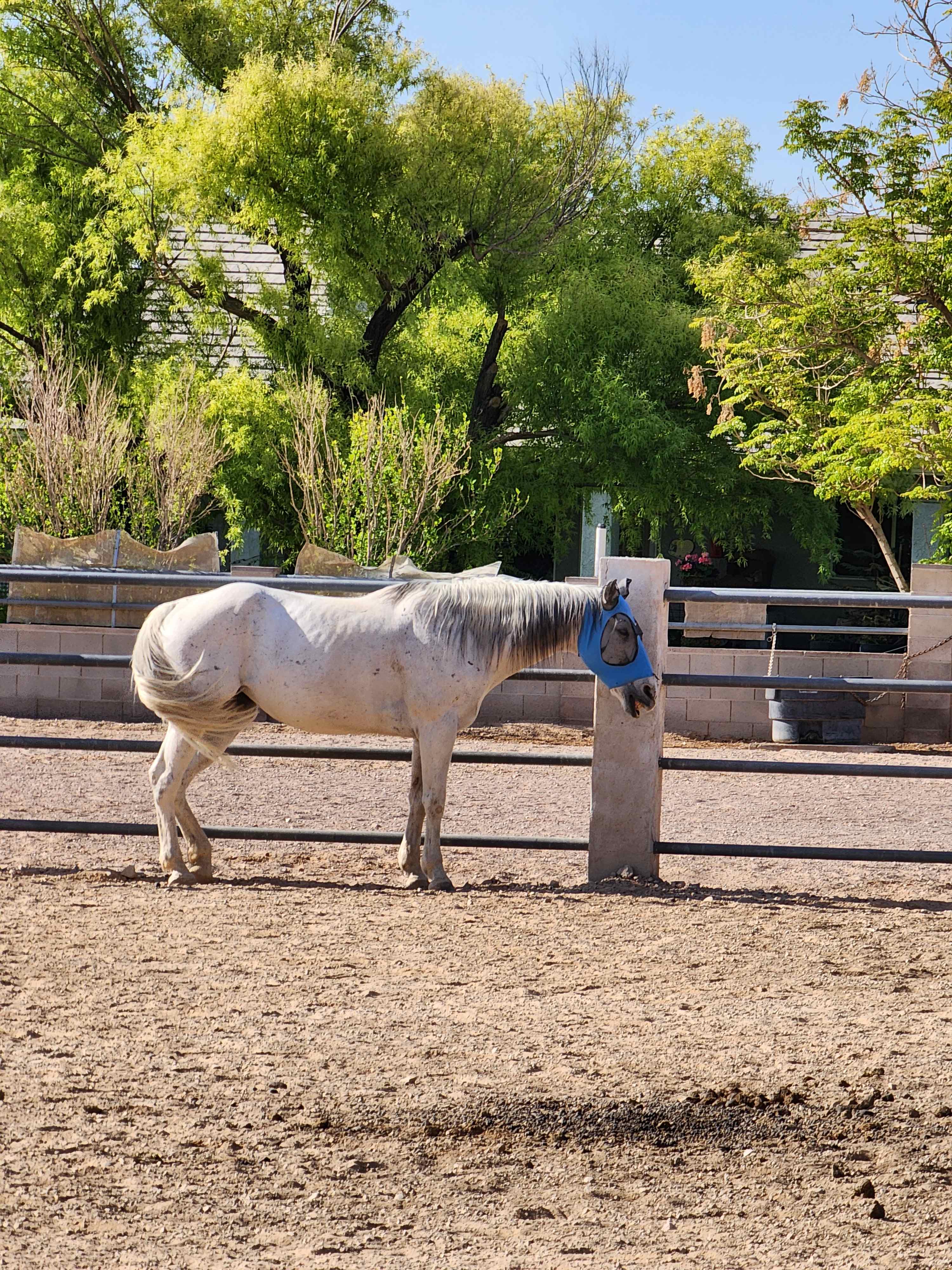 Jeffry’s Farm