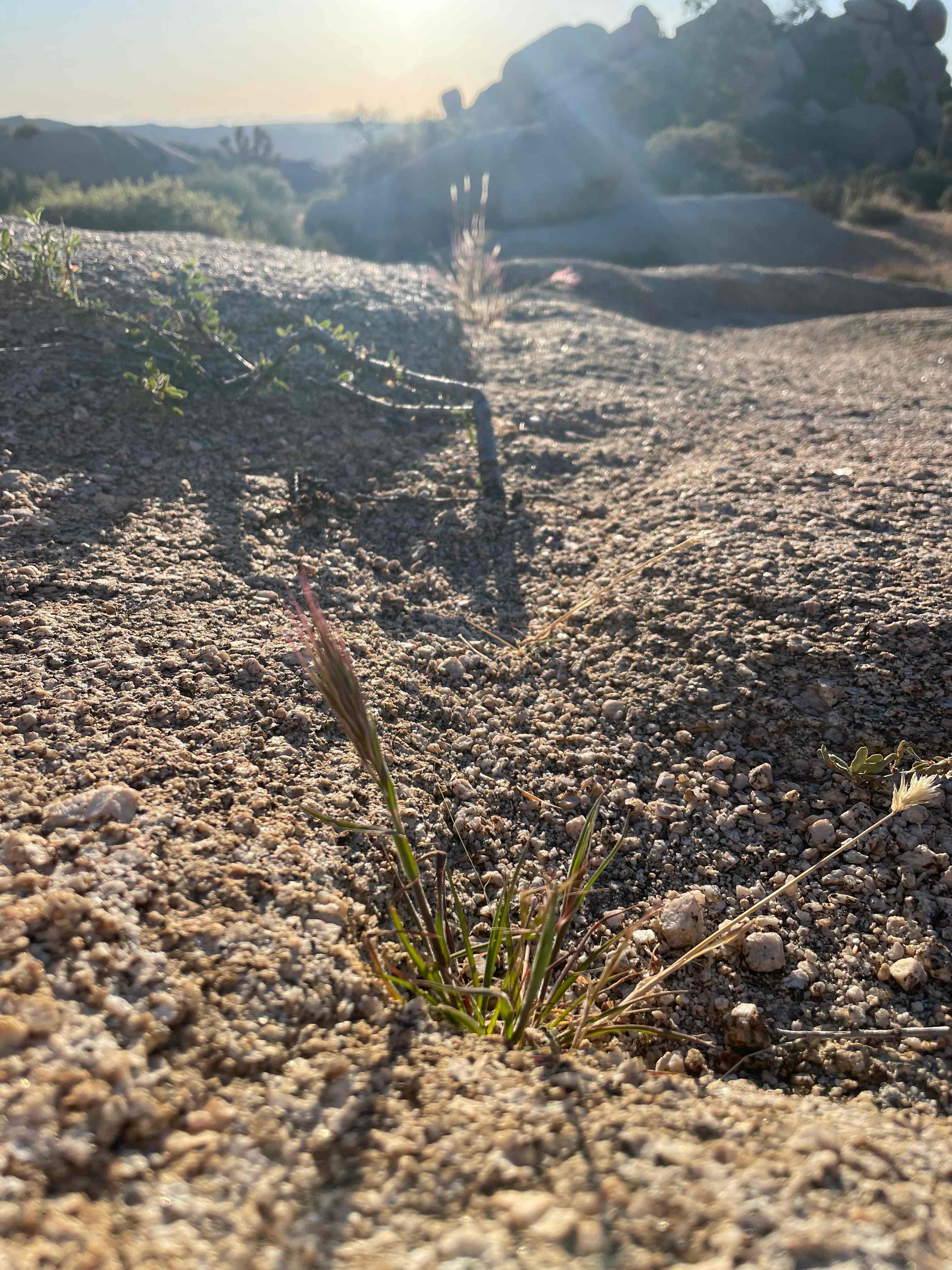 Boulder Gardens Sanctuary