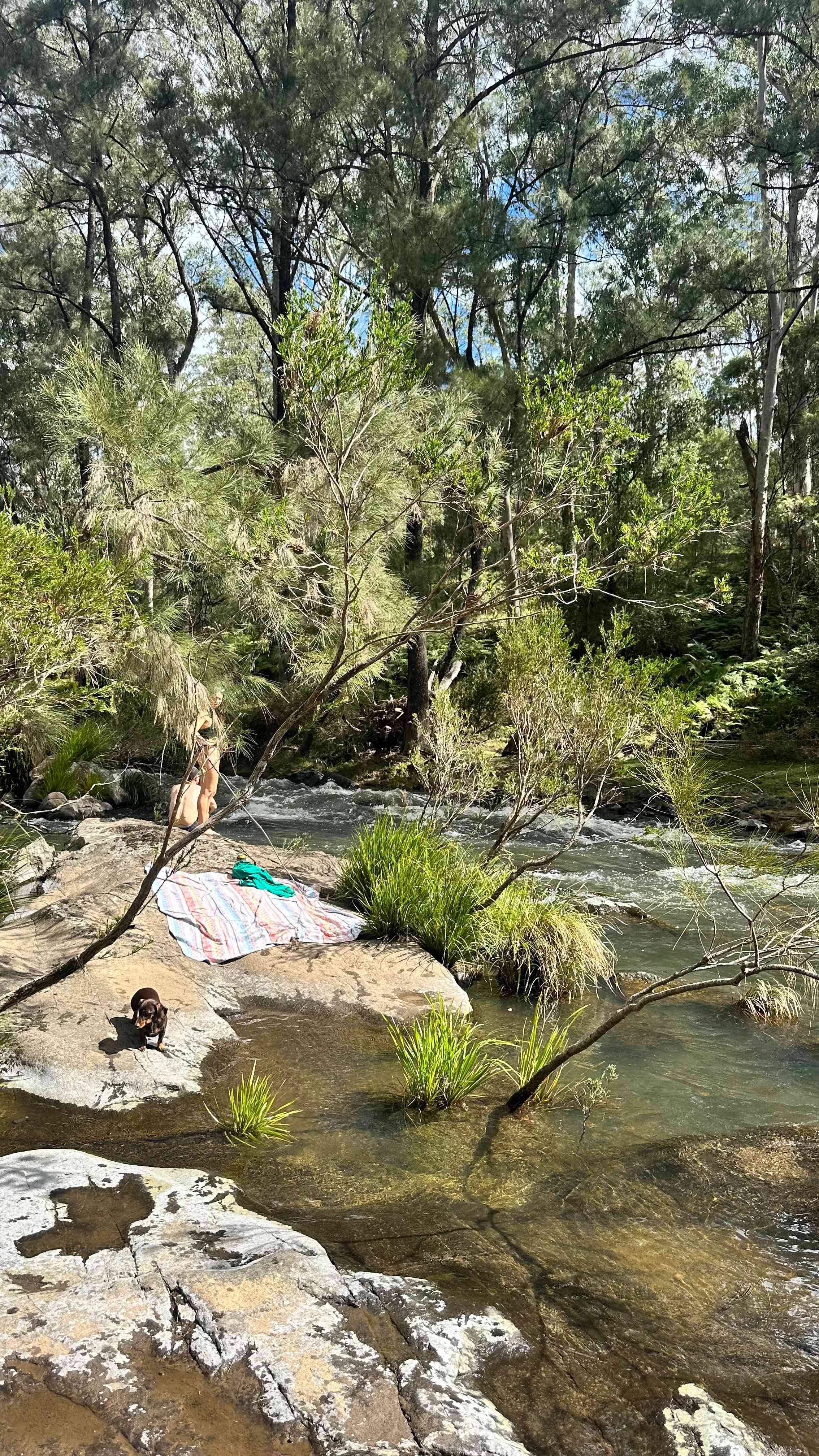 Blicks River Camping