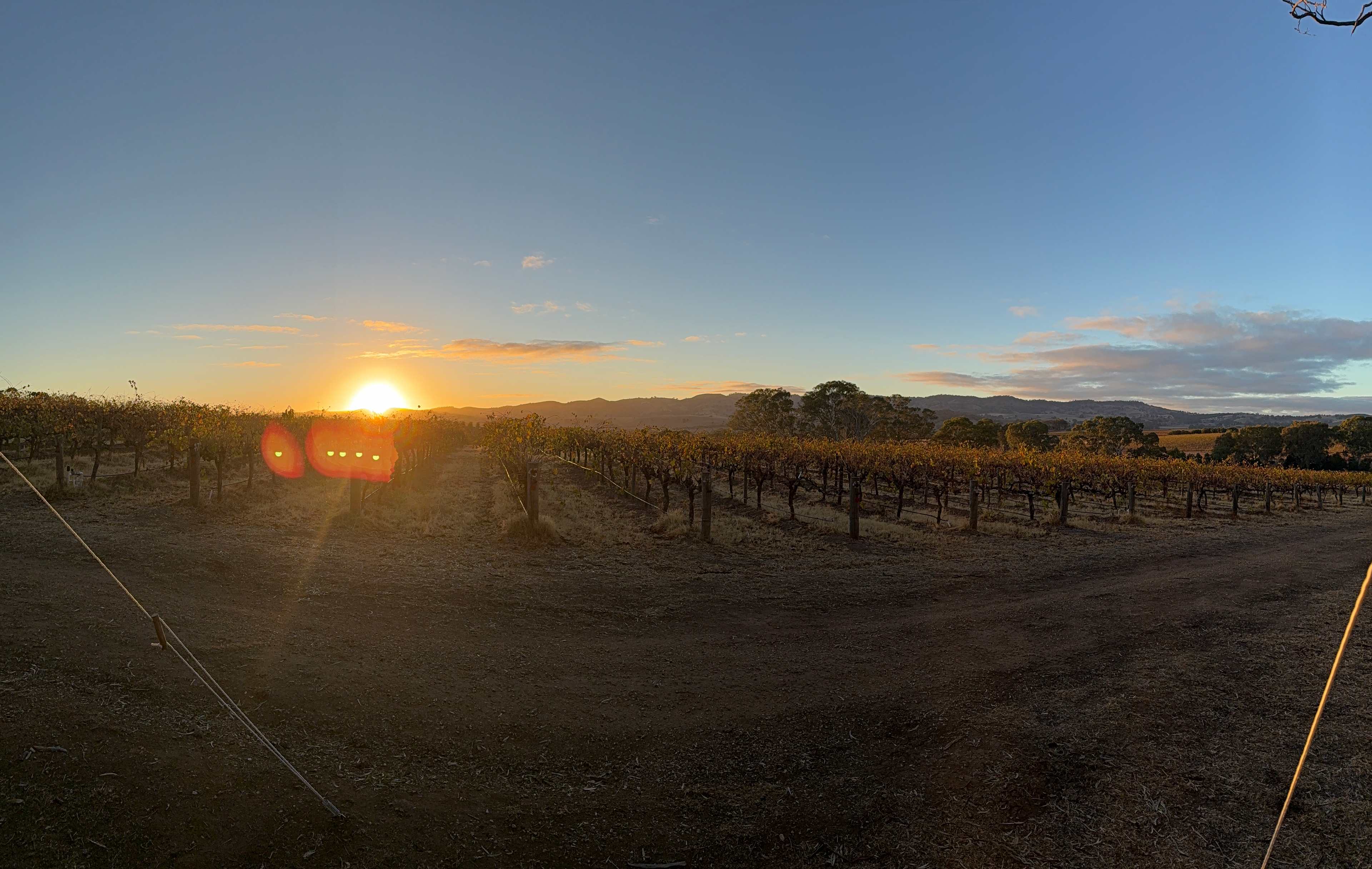 God’s Hill Wines & Ennia Cucina