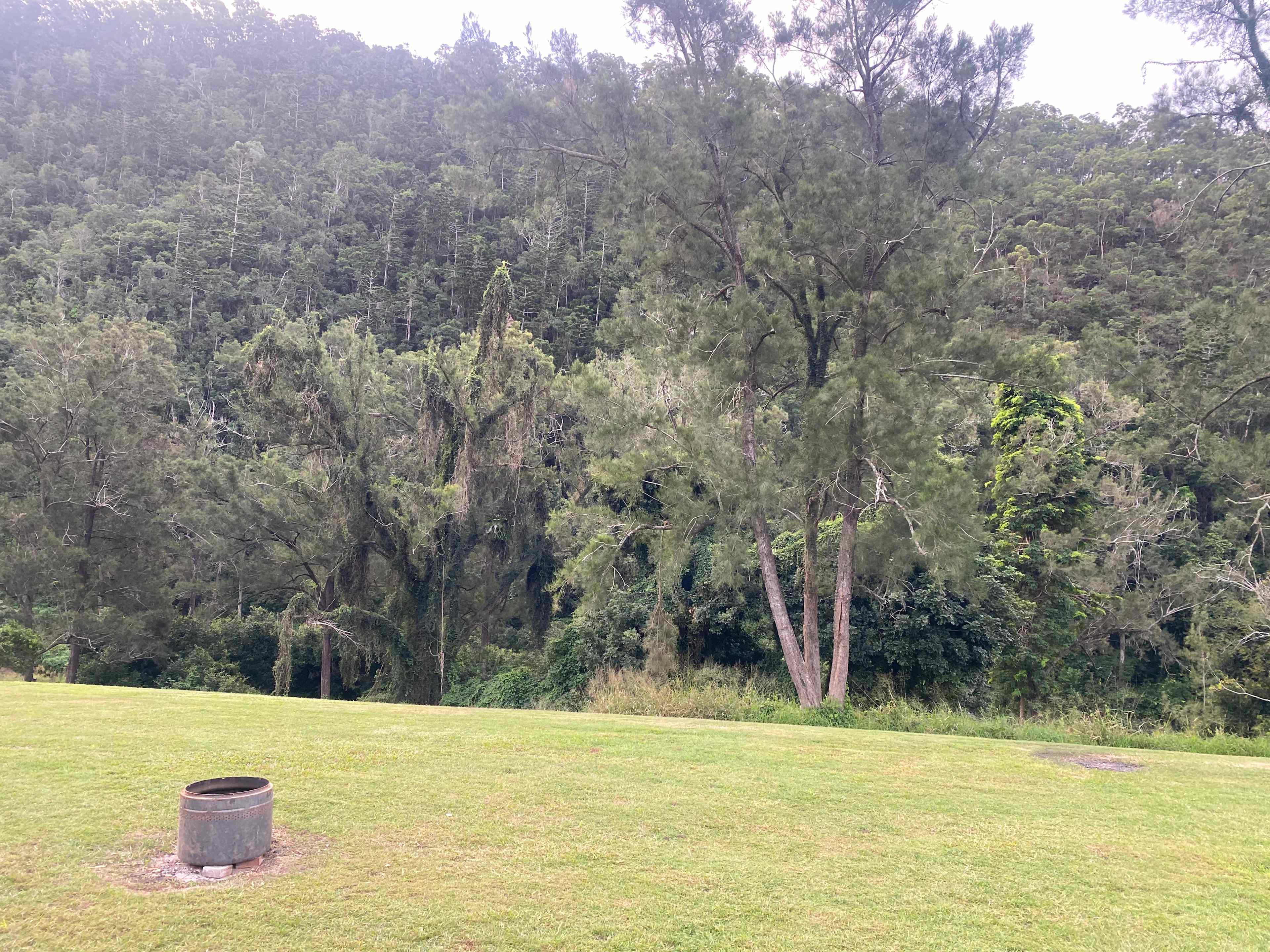Yabba Creek Farm