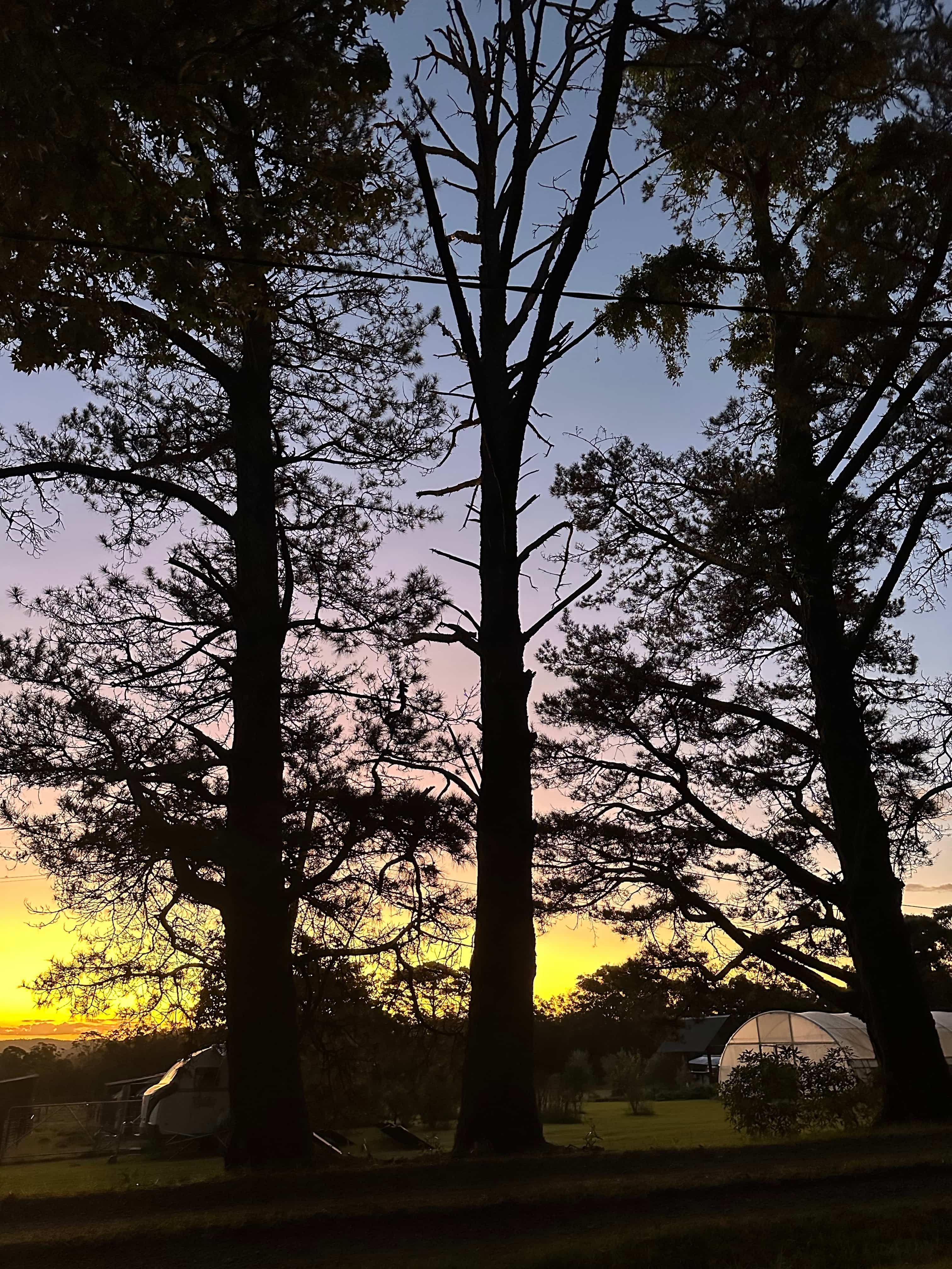Willa Willa Park