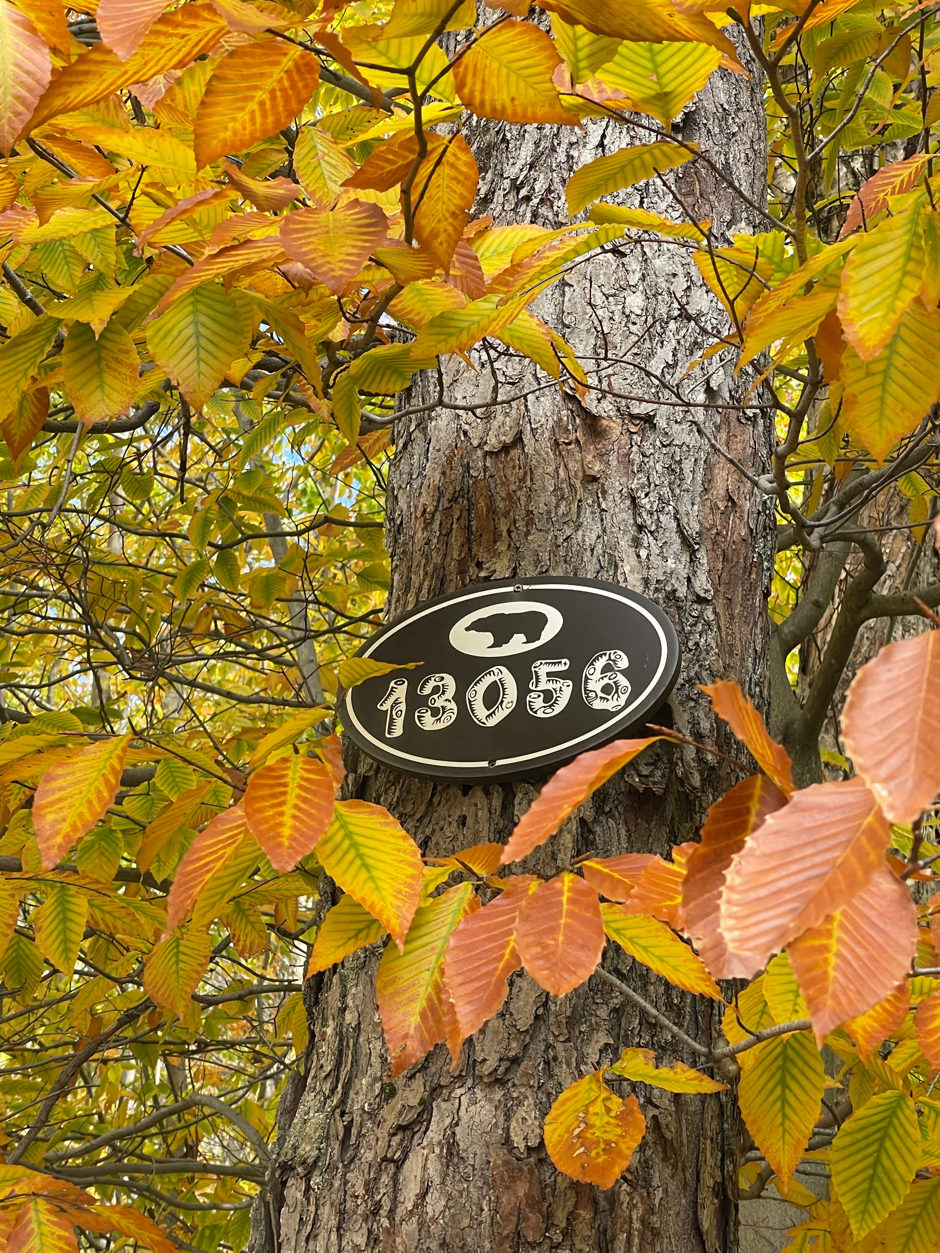 40 Acre Adirondack Basecamp