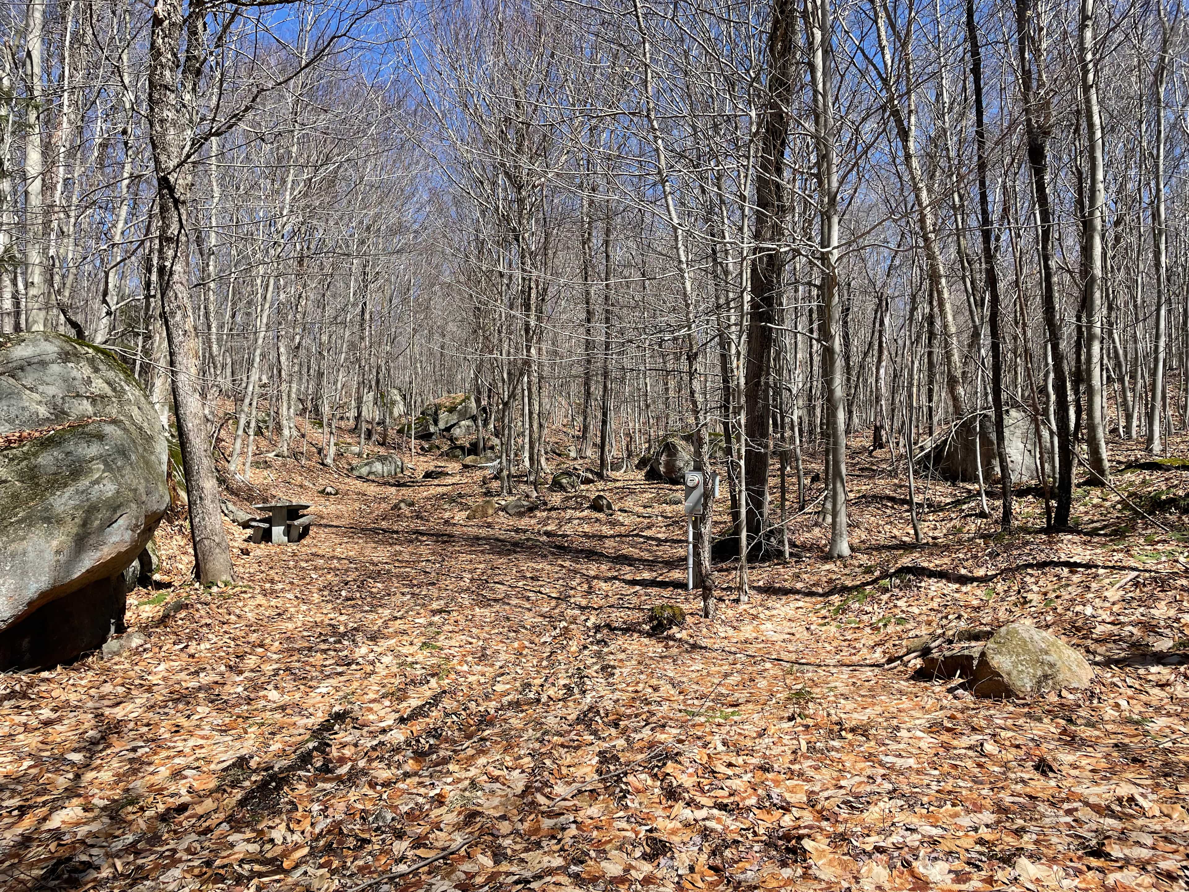 40 Acre Adirondack Basecamp