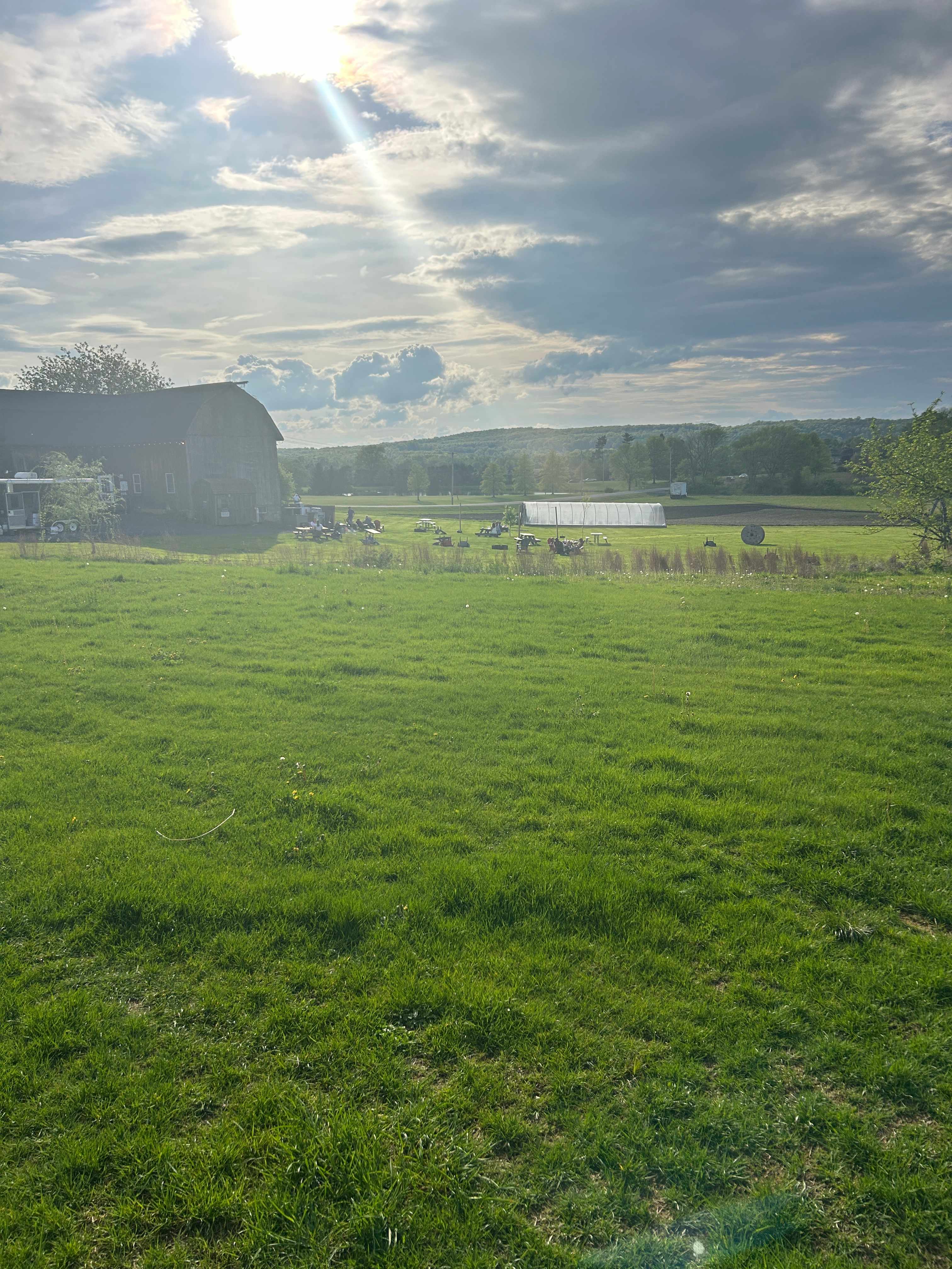 Brown Barn Farms