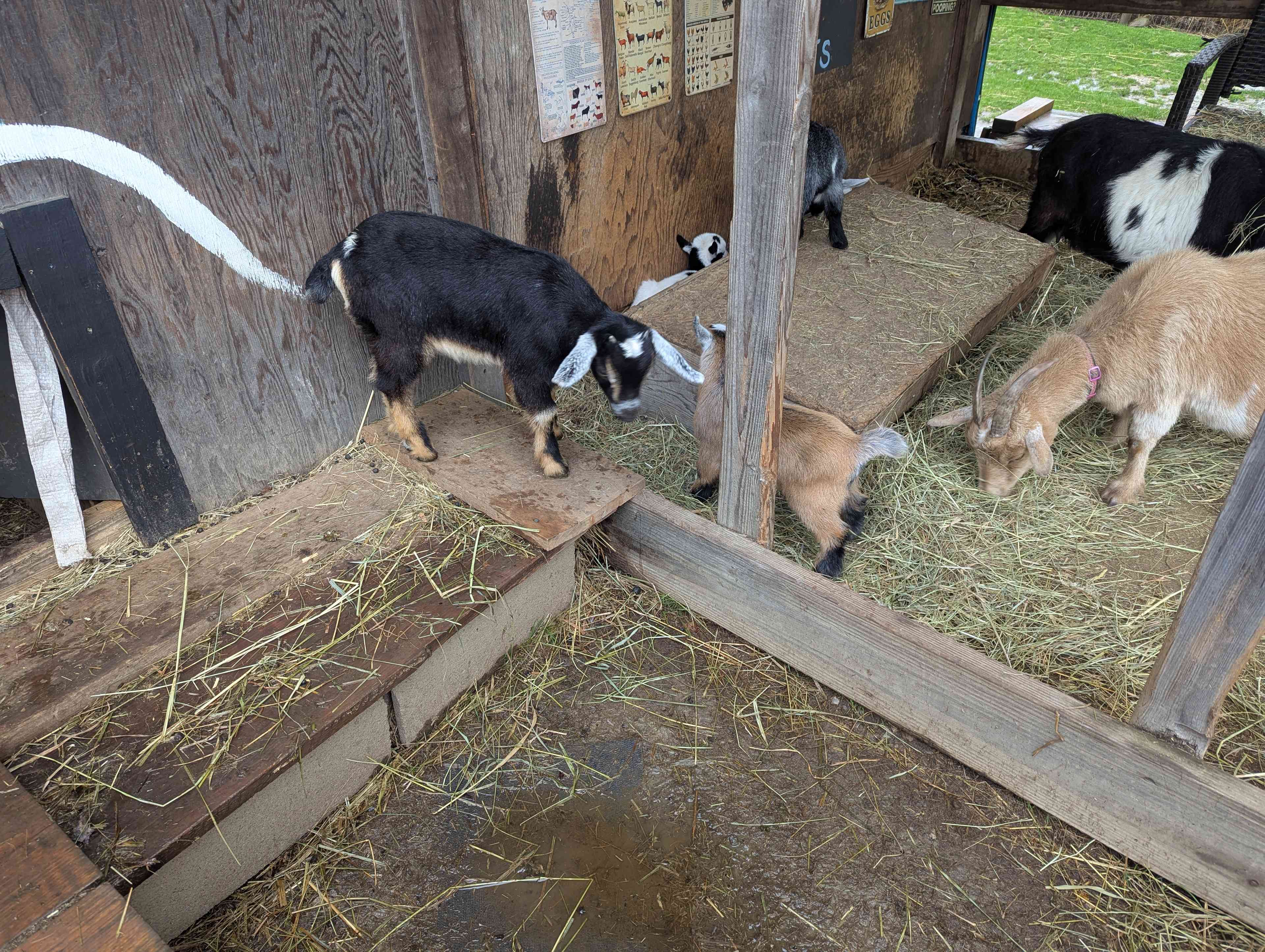 Goat Farm Hide-Away CVNP
