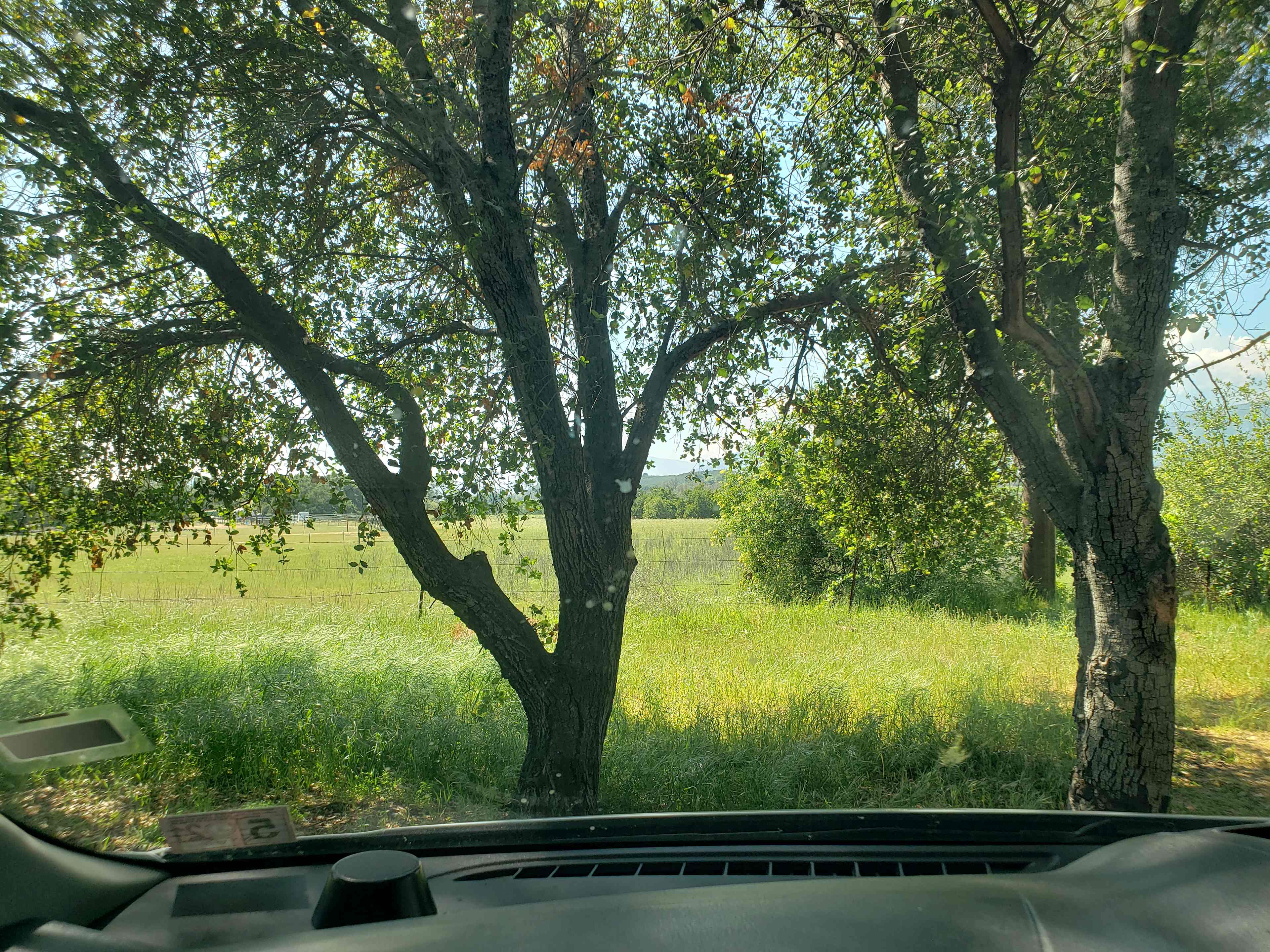 Park At Tar Creeks Ranch